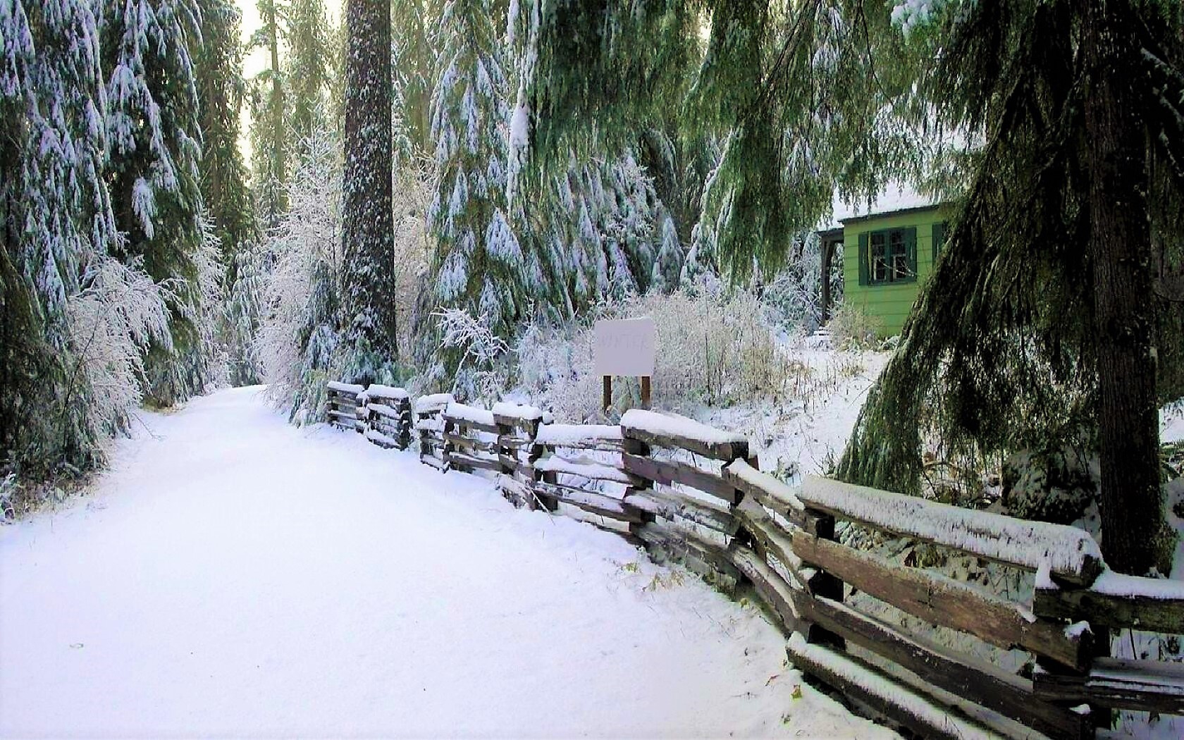 Скачать картинку Зима, Снег, Дерево, Дом, Сосна, Изгородь, Фотографии в телефон бесплатно.