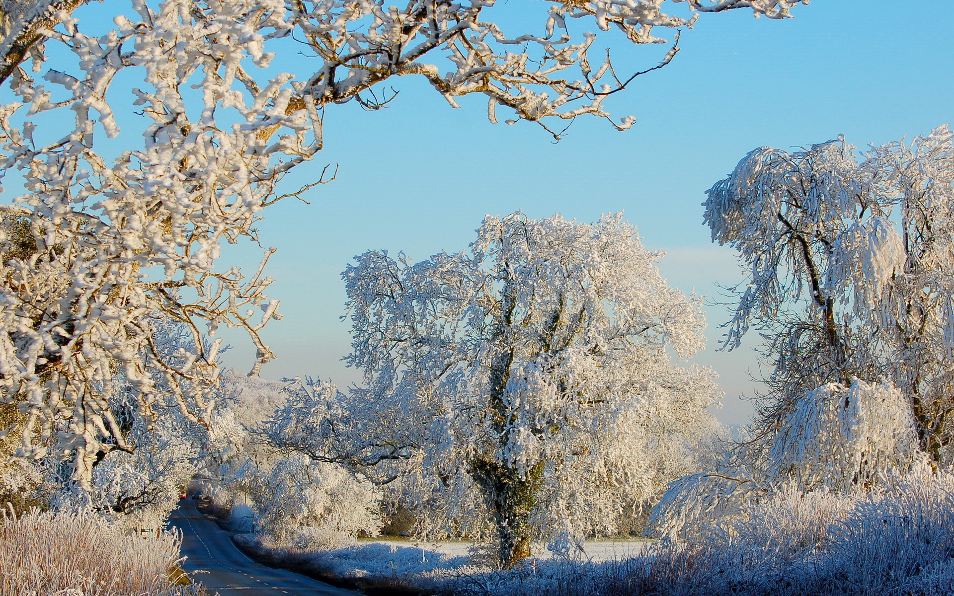 Téléchargez des papiers peints mobile Hiver, Terre/nature gratuitement.