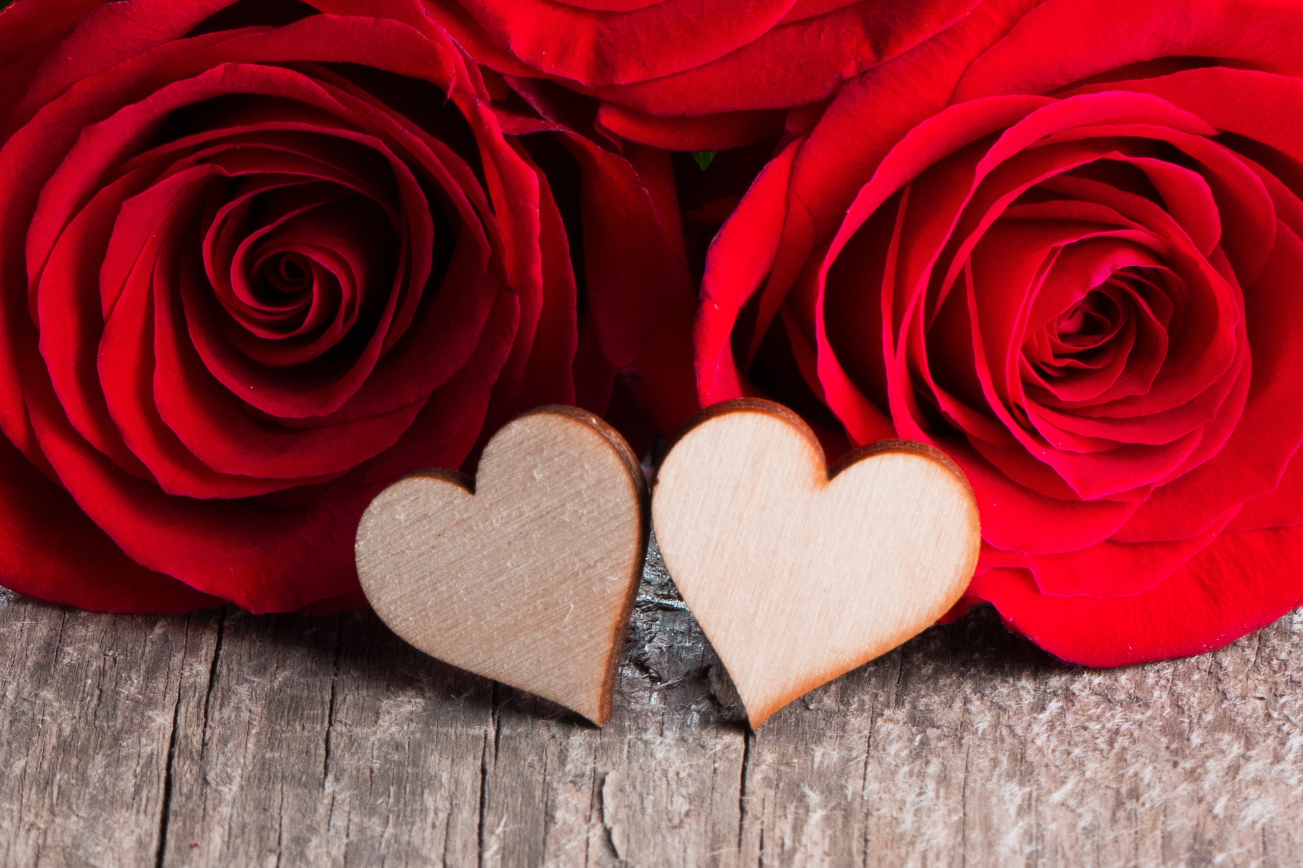 Скачать картинку Любовь, Цветок, Сердце, Фотографии, Красная Роза, Красный Цветок в телефон бесплатно.