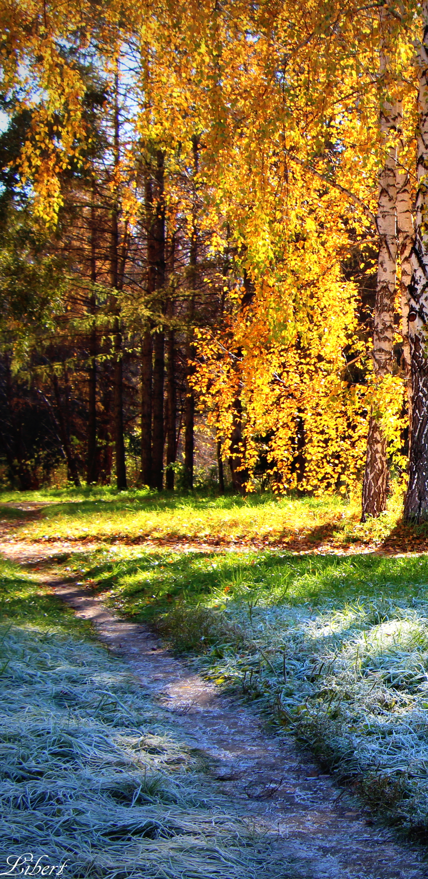 Handy-Wallpaper Herbst, Erde/natur kostenlos herunterladen.