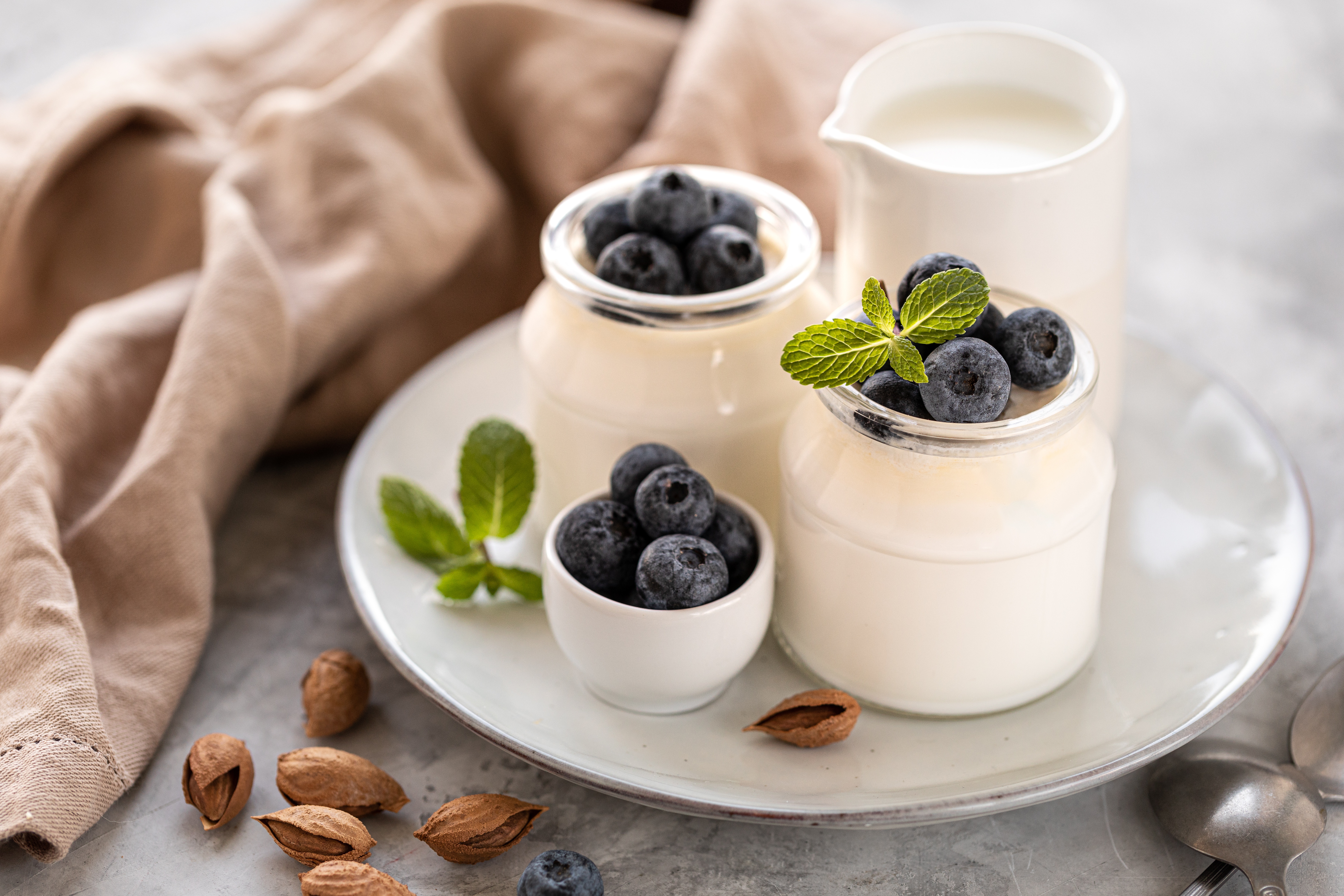 Handy-Wallpaper Joghurt, Heidelbeere, Nahrungsmittel, Stillleben kostenlos herunterladen.