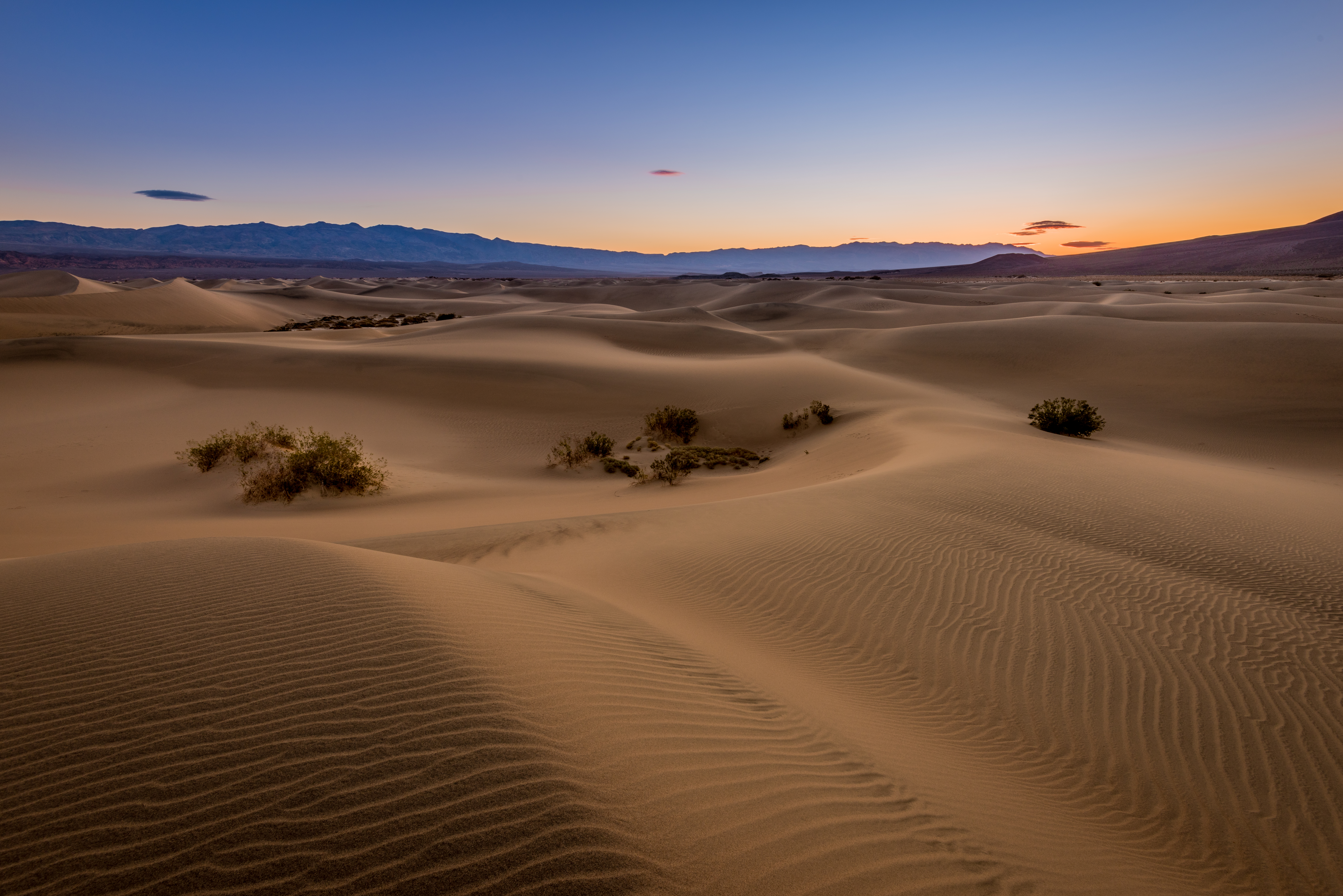 earth, desert, california, death valley, dune, morning