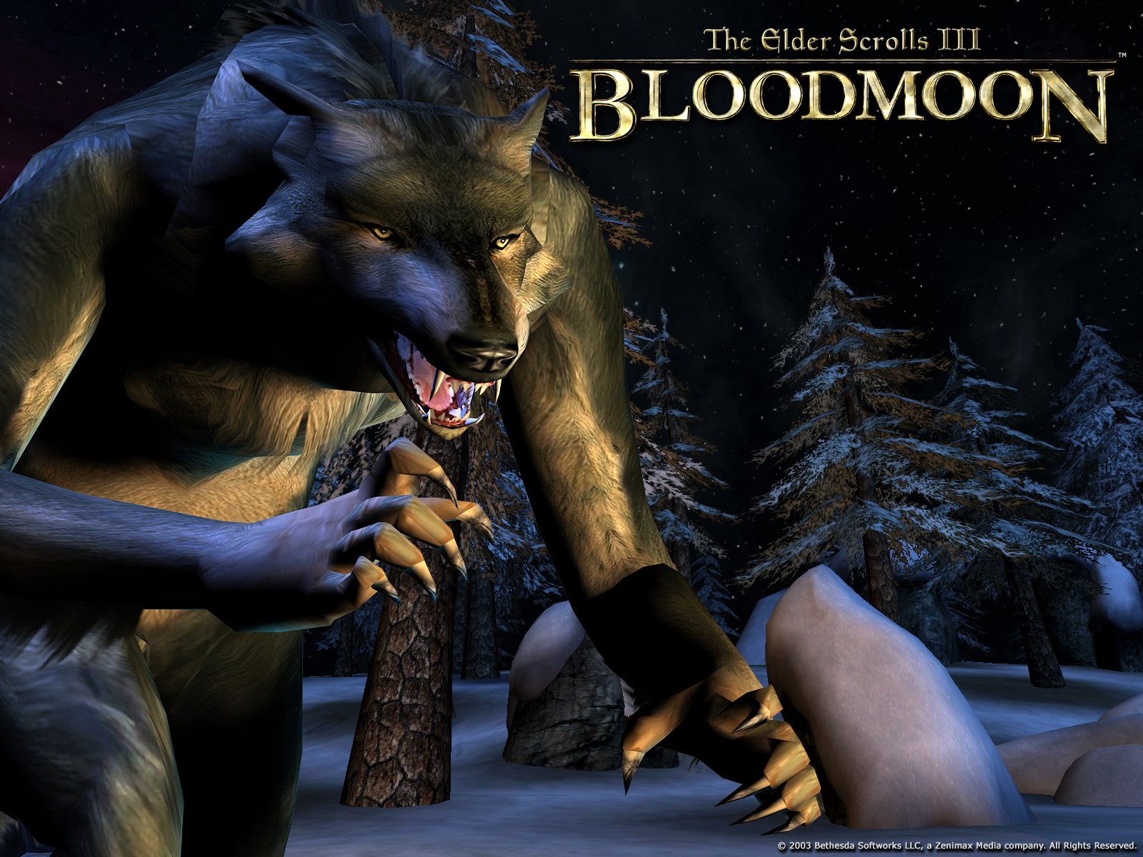Скачать обои бесплатно Оборотень, Видеоигры, The Elder Scrolls Iii: Кровавая Луна, Древние Свитки картинка на рабочий стол ПК