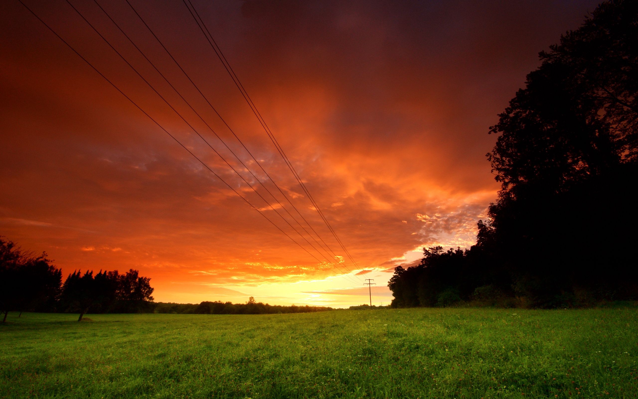 wires, wire, nature, sunset, sky, greens, field, evening HD wallpaper