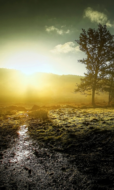 Handy-Wallpaper Landschaft, Erde/natur, Sonnenschein kostenlos herunterladen.