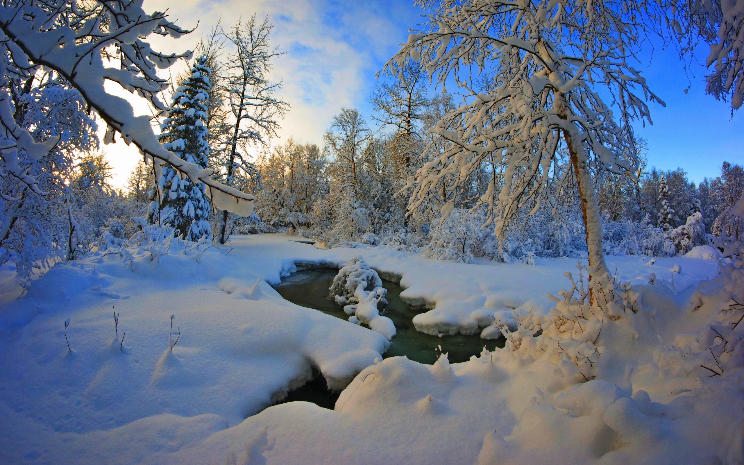 Téléchargez gratuitement l'image Hiver, Terre/nature sur le bureau de votre PC