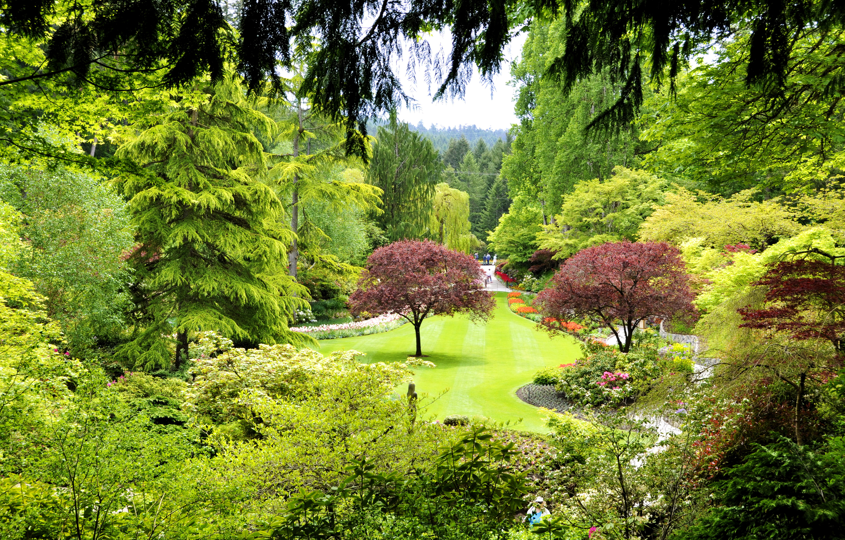android garden, butchart gardens, nature, canada, trees