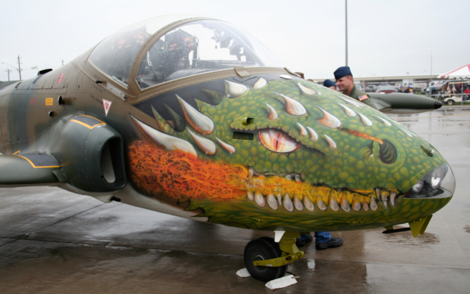 military, aircraft nose art
