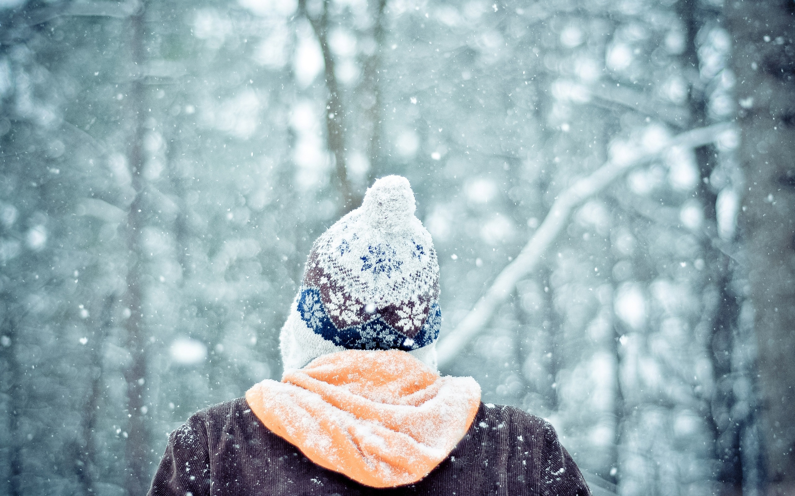 Descarga gratuita de fondo de pantalla para móvil de Invierno, Fotografía.