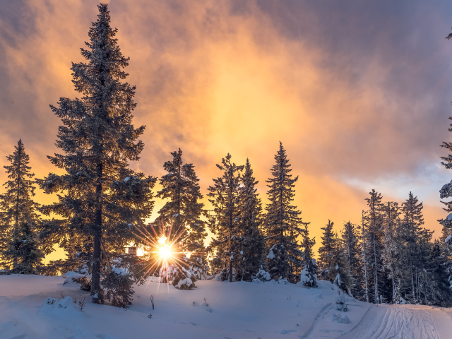 Завантажити шпалери безкоштовно Зима, Сніг, Земля, Хмара, Захід Сонця картинка на робочий стіл ПК