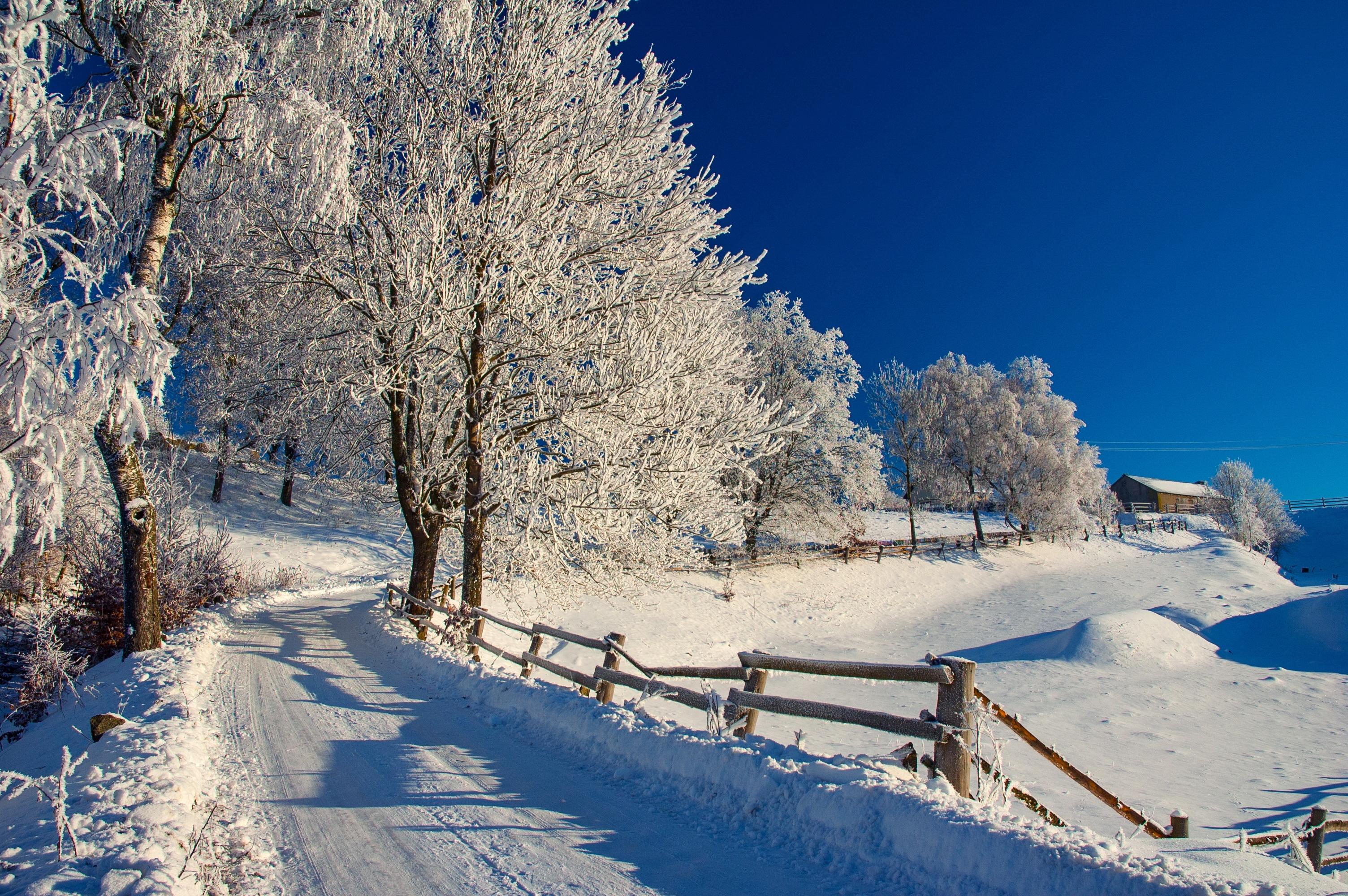 Laden Sie das Winter, Schnee, Baum, Pfad, Zaun, Hütte, Fotografie-Bild kostenlos auf Ihren PC-Desktop herunter