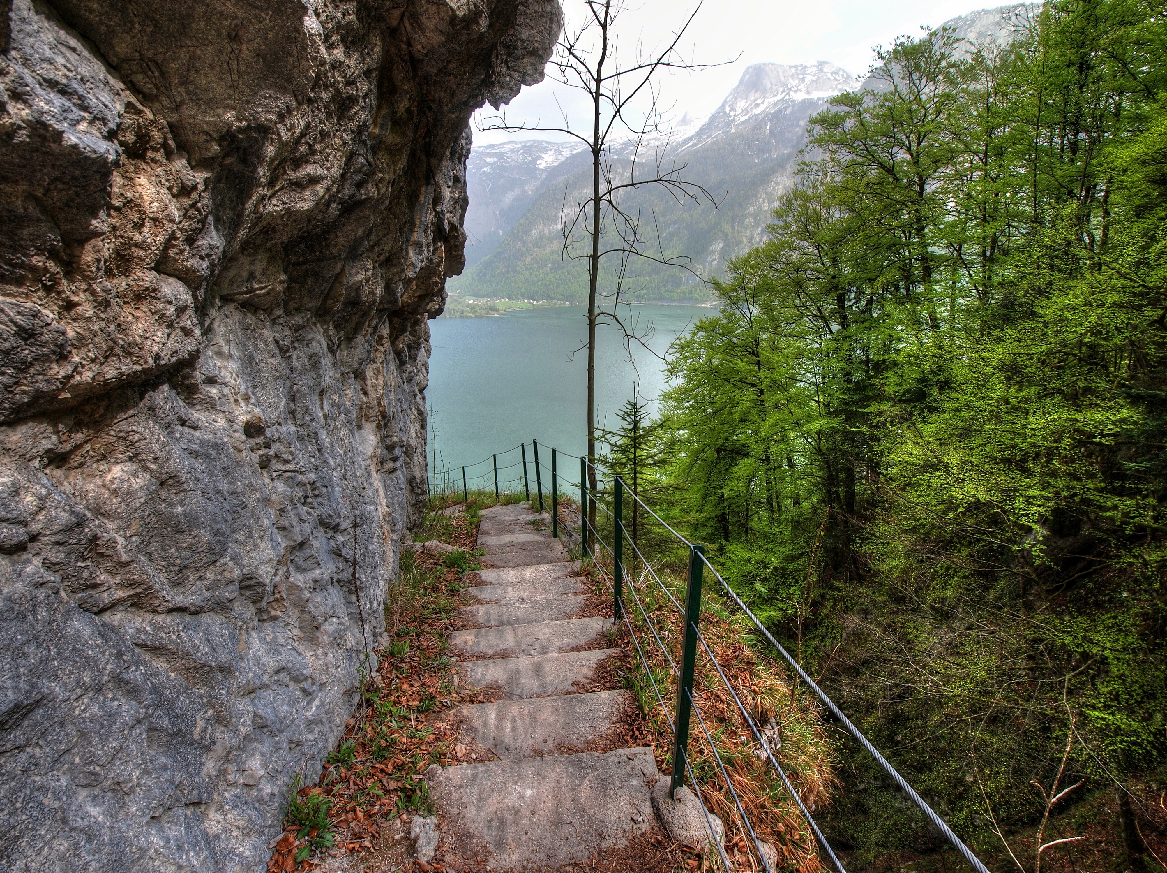 lake, descent, landscape, nature, trees, rock, steps