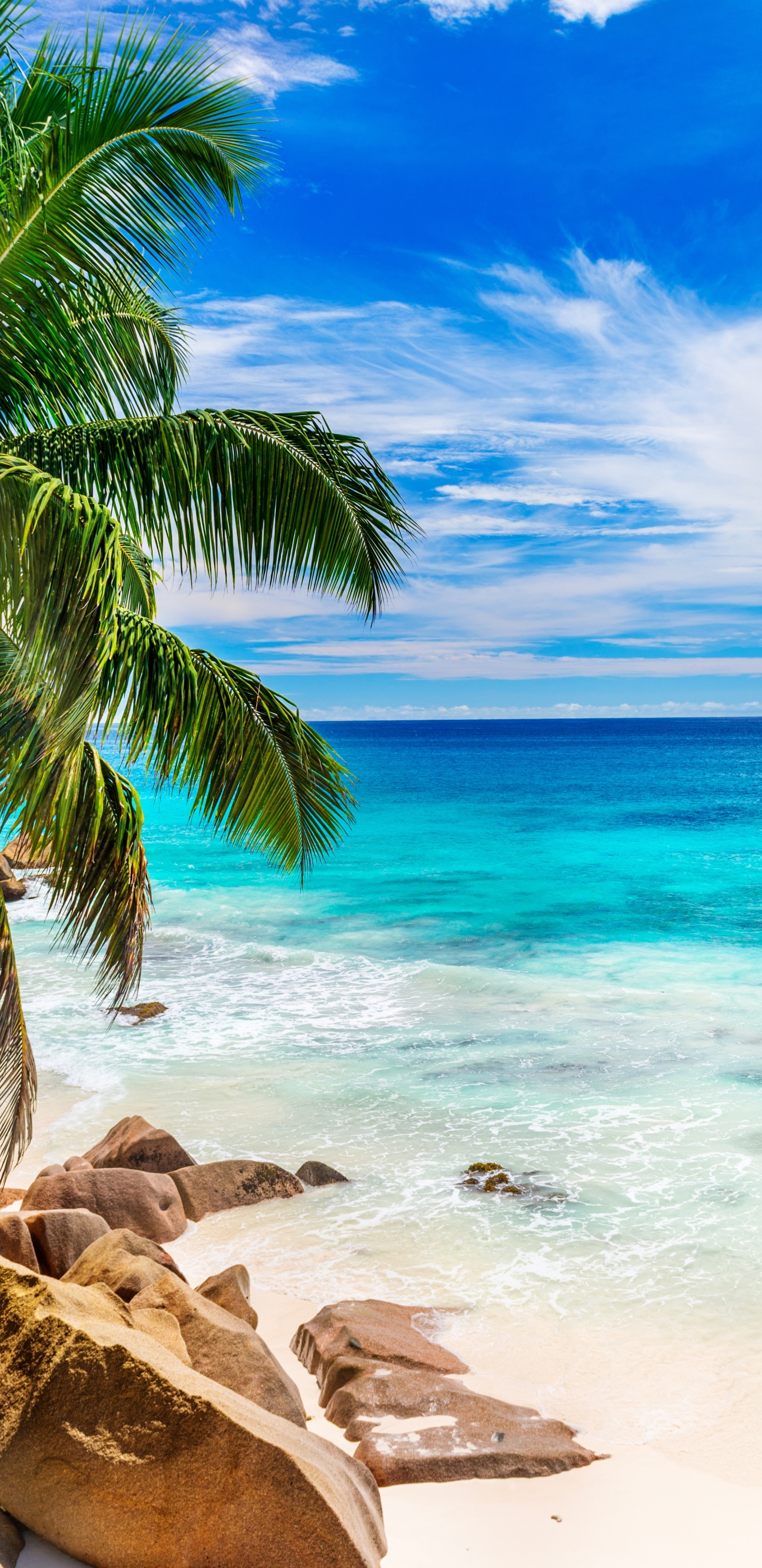 1292749 descargar fondo de pantalla tierra/naturaleza, playa, turquesa, azul, horizonte, tierra, seychelles, tropical, tropico, océano: protectores de pantalla e imágenes gratis