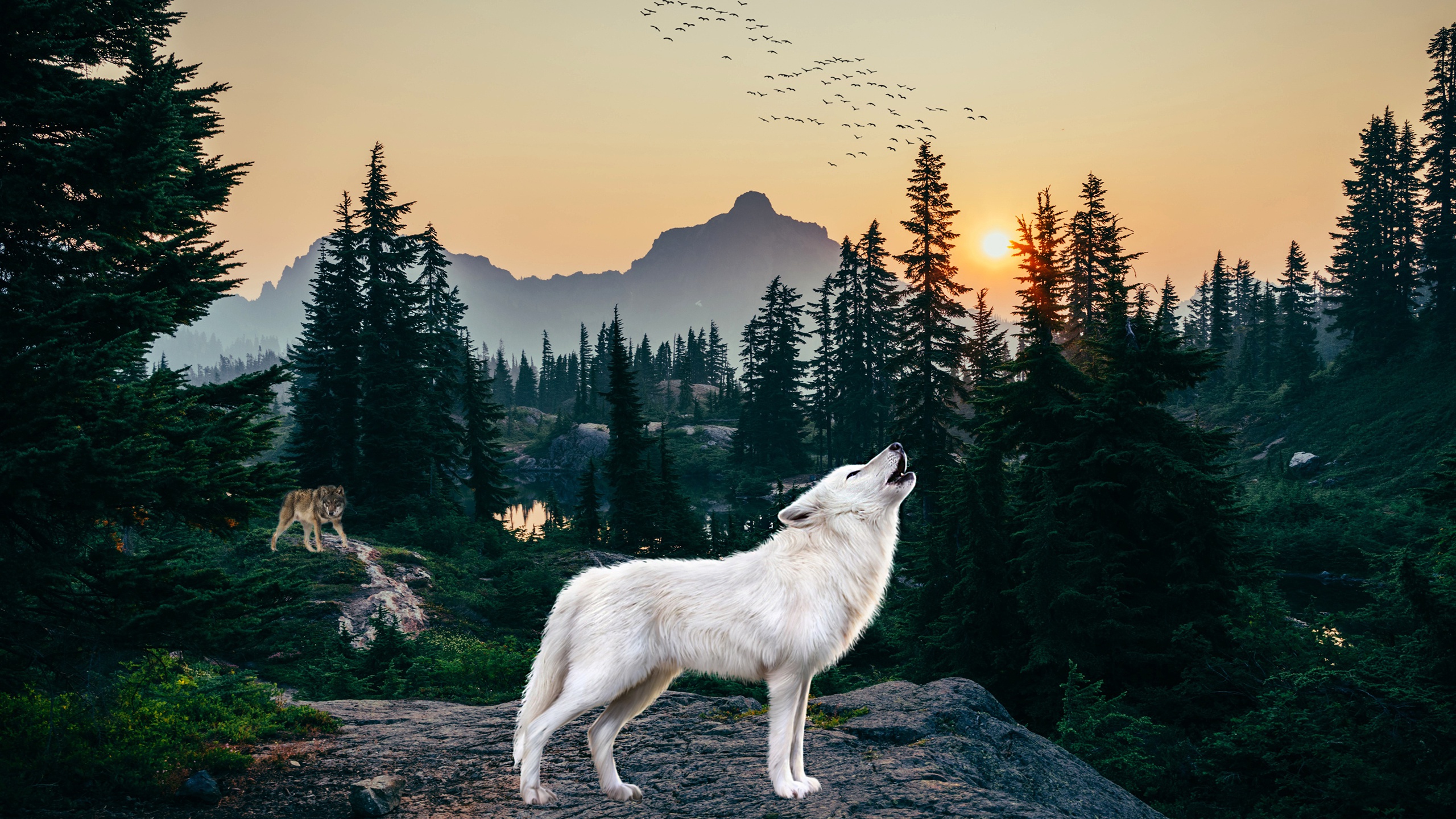 1002648 завантажити картинку тварина, арктичний вовк, малювання, ліс, виття, вовк - шпалери і заставки безкоштовно