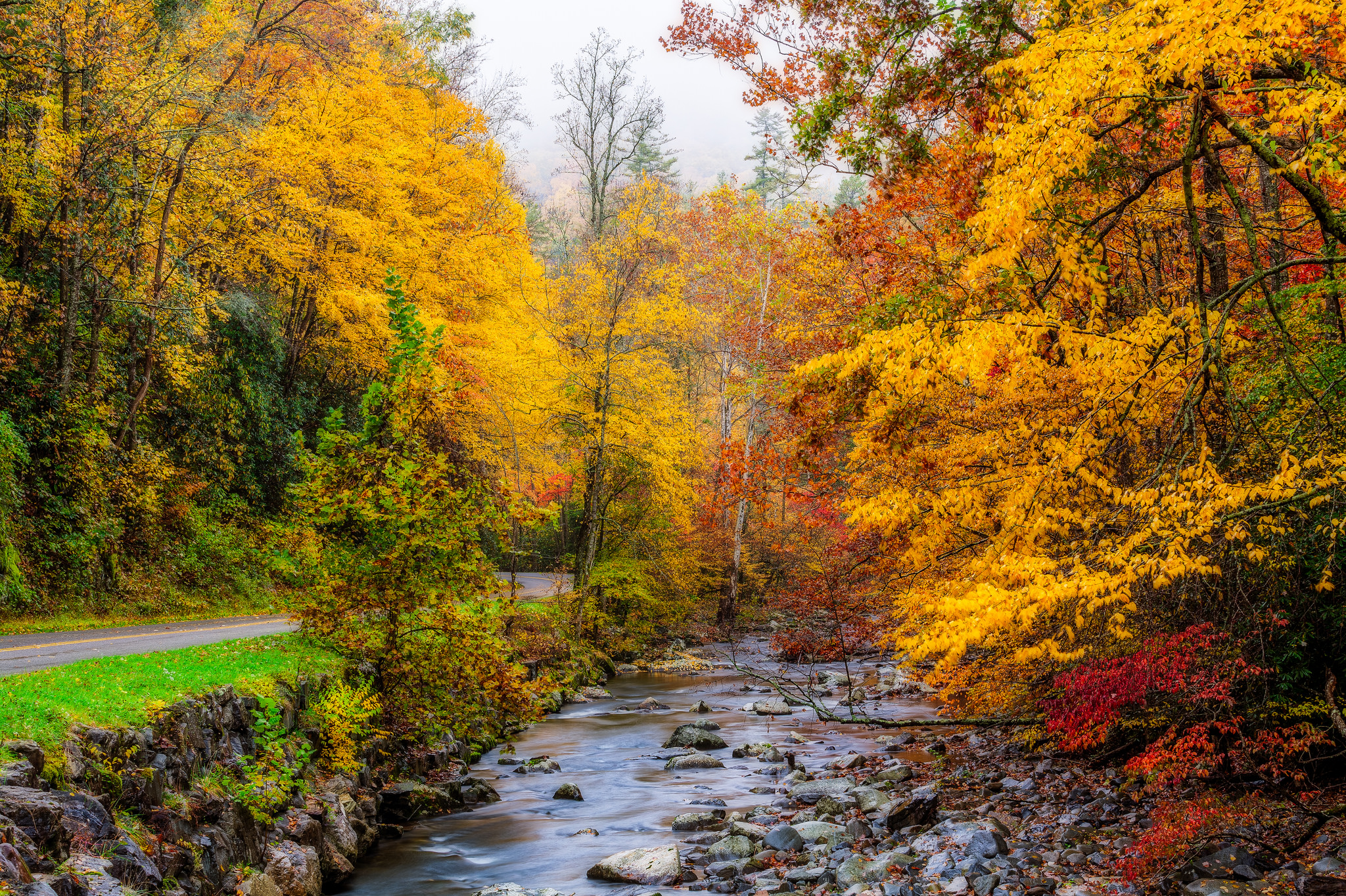 Free download wallpaper Road, Forest, Tree, Fall, Stream, Man Made on your PC desktop