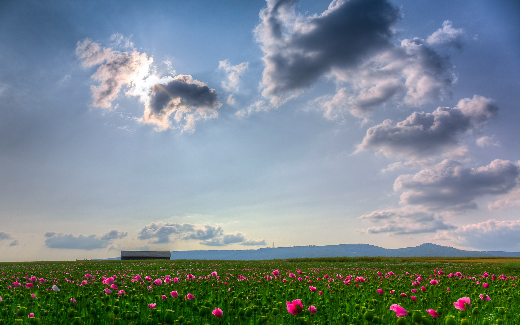 Descarga gratis la imagen Paisaje, Tierra/naturaleza en el escritorio de tu PC