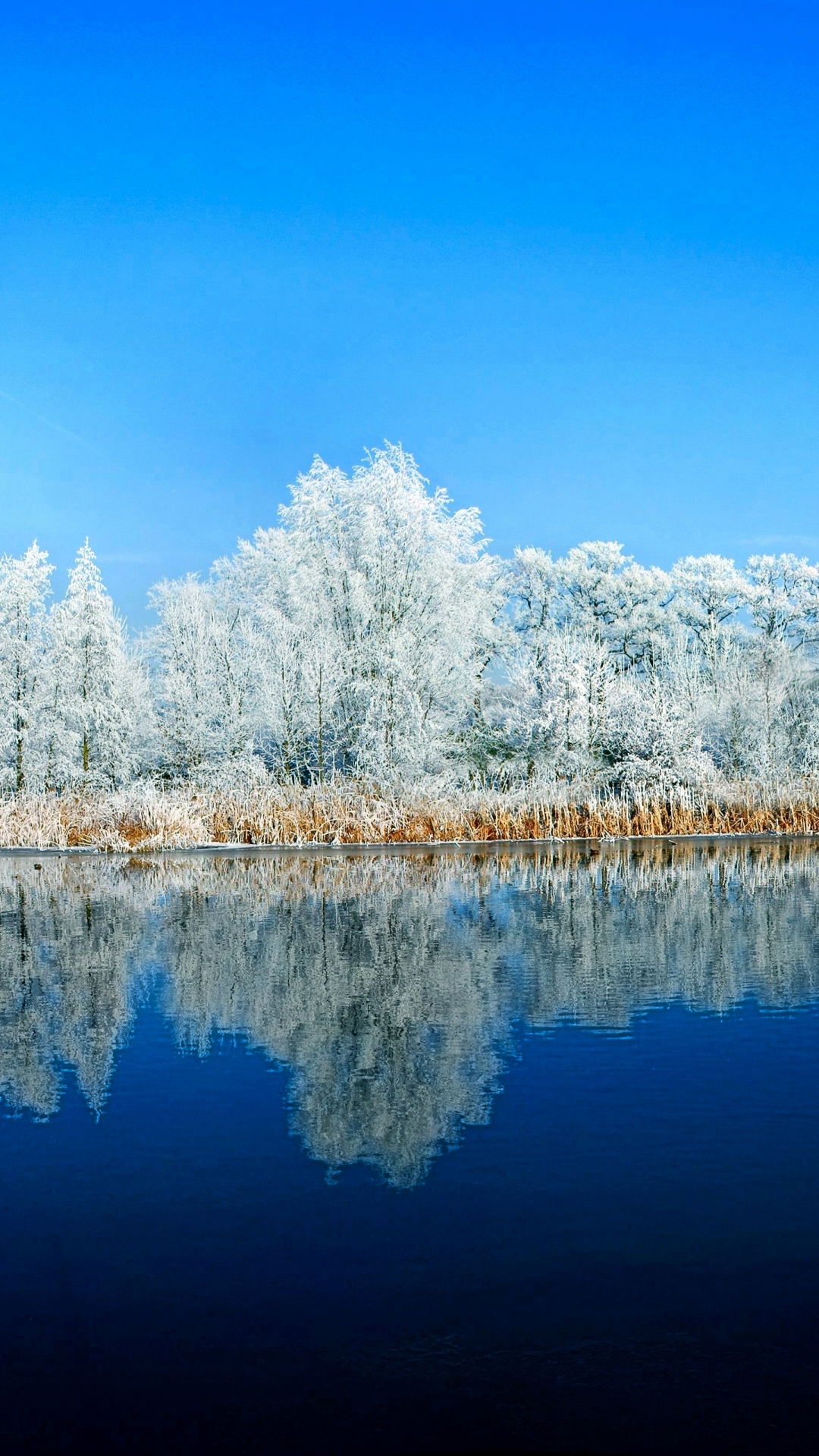 Скачать картинку Зима, Природа, Вода, Снег, Отражение, Дерево, Синий, Земля/природа в телефон бесплатно.