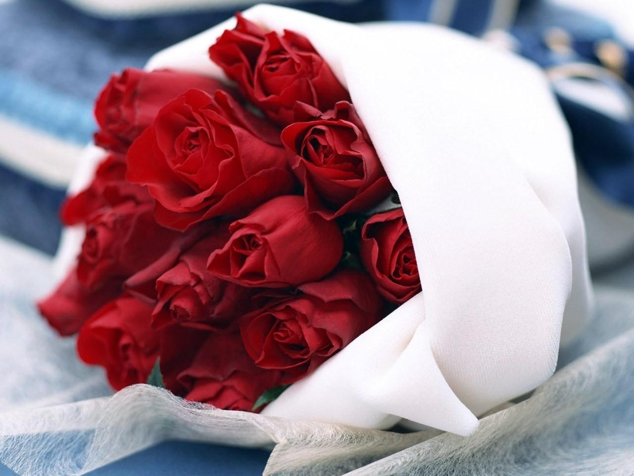 roses, bouquets, plants, flowers, red 32K
