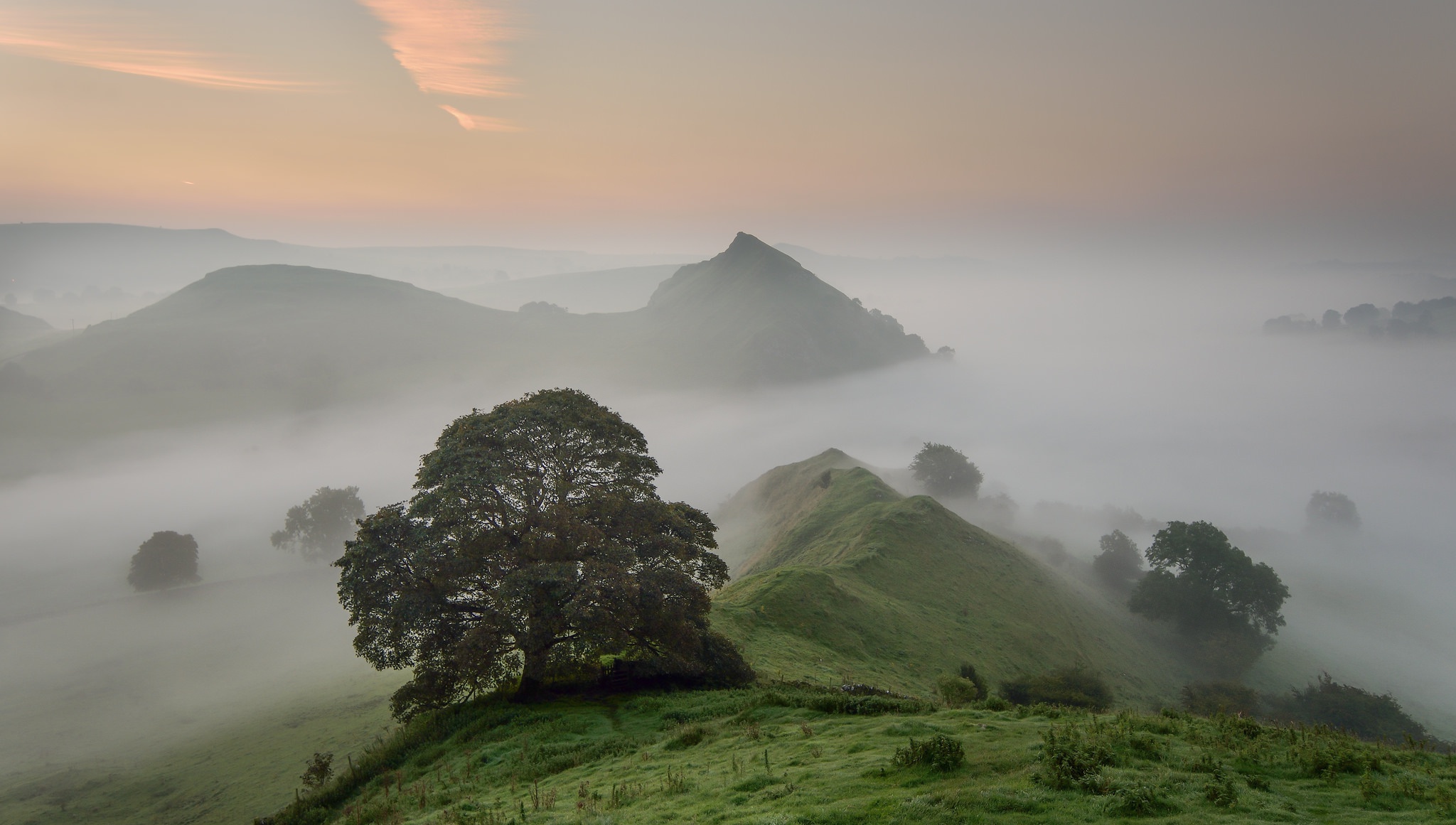 Download mobile wallpaper Nature, Mountain, Tree, Fog, Earth for free.