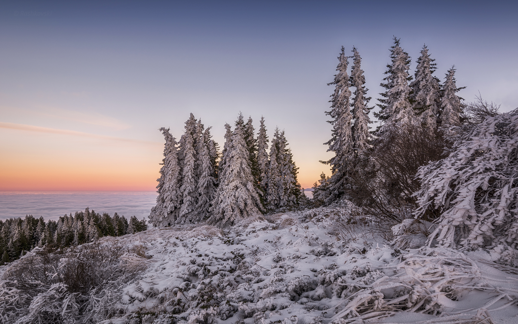 Descarga gratis la imagen Invierno, Tierra/naturaleza en el escritorio de tu PC