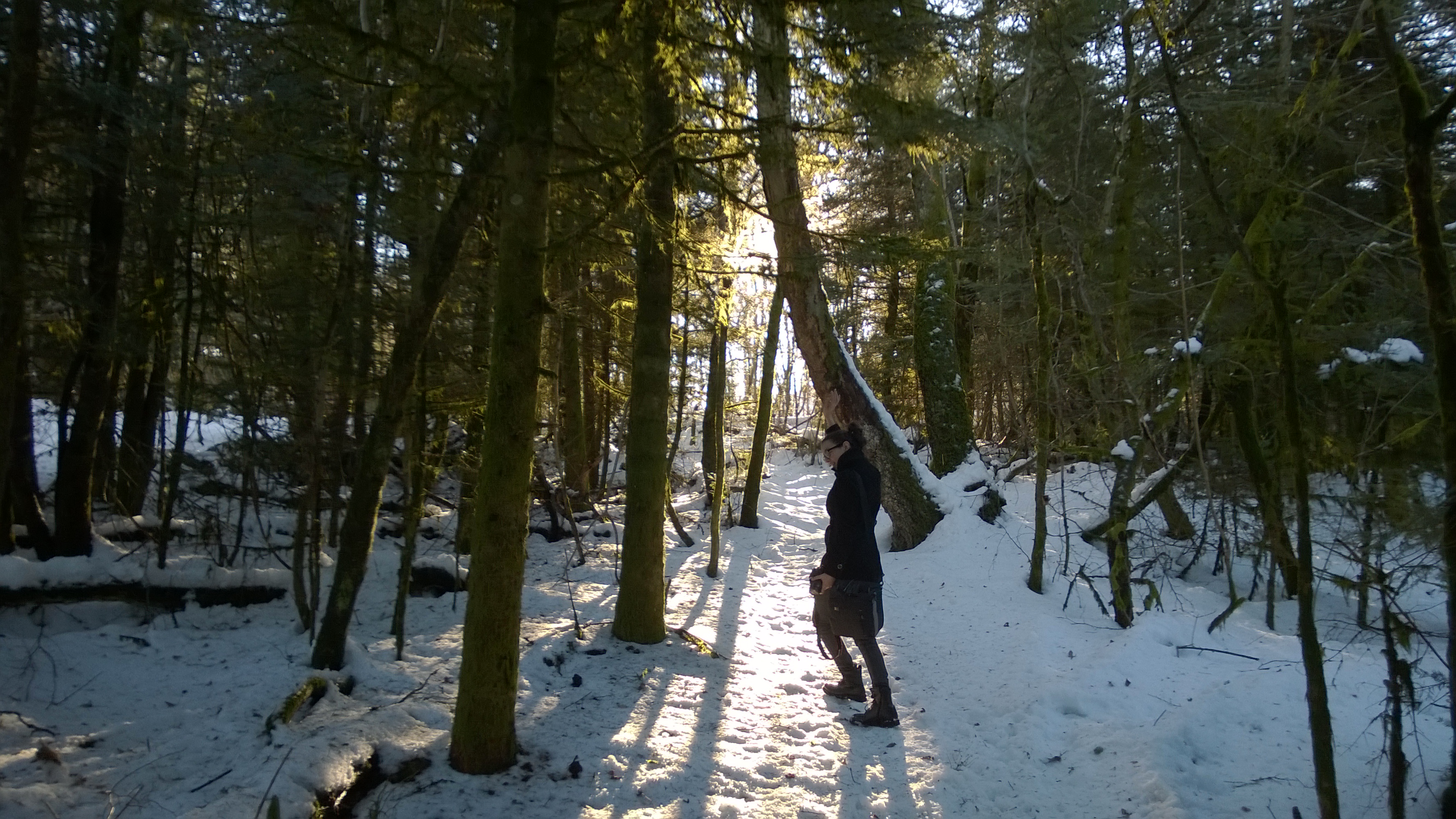 Descarga gratuita de fondo de pantalla para móvil de Invierno, Bosque, Fotografía, Atardecer.