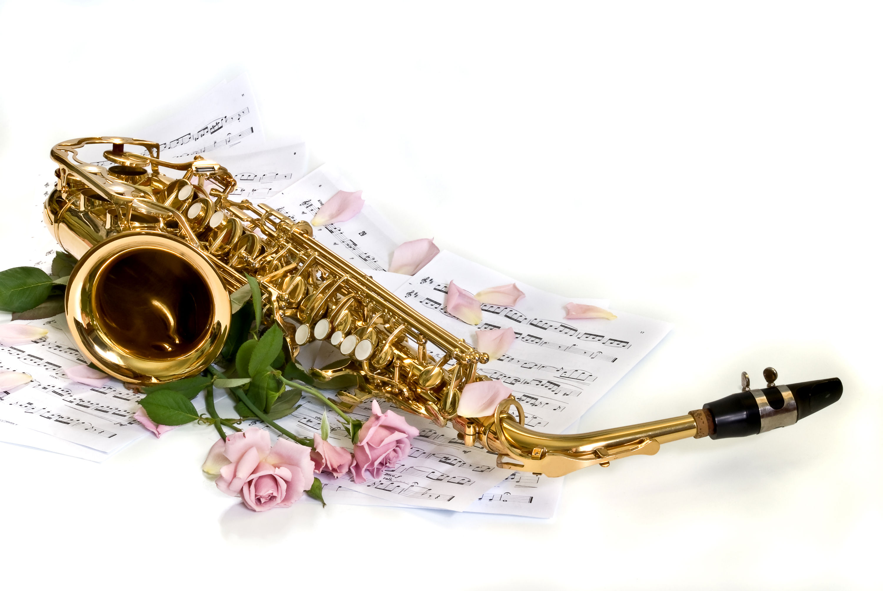166559 télécharger l'image saxophone, musique, pétale, rose, partition - fonds d'écran et économiseurs d'écran gratuits