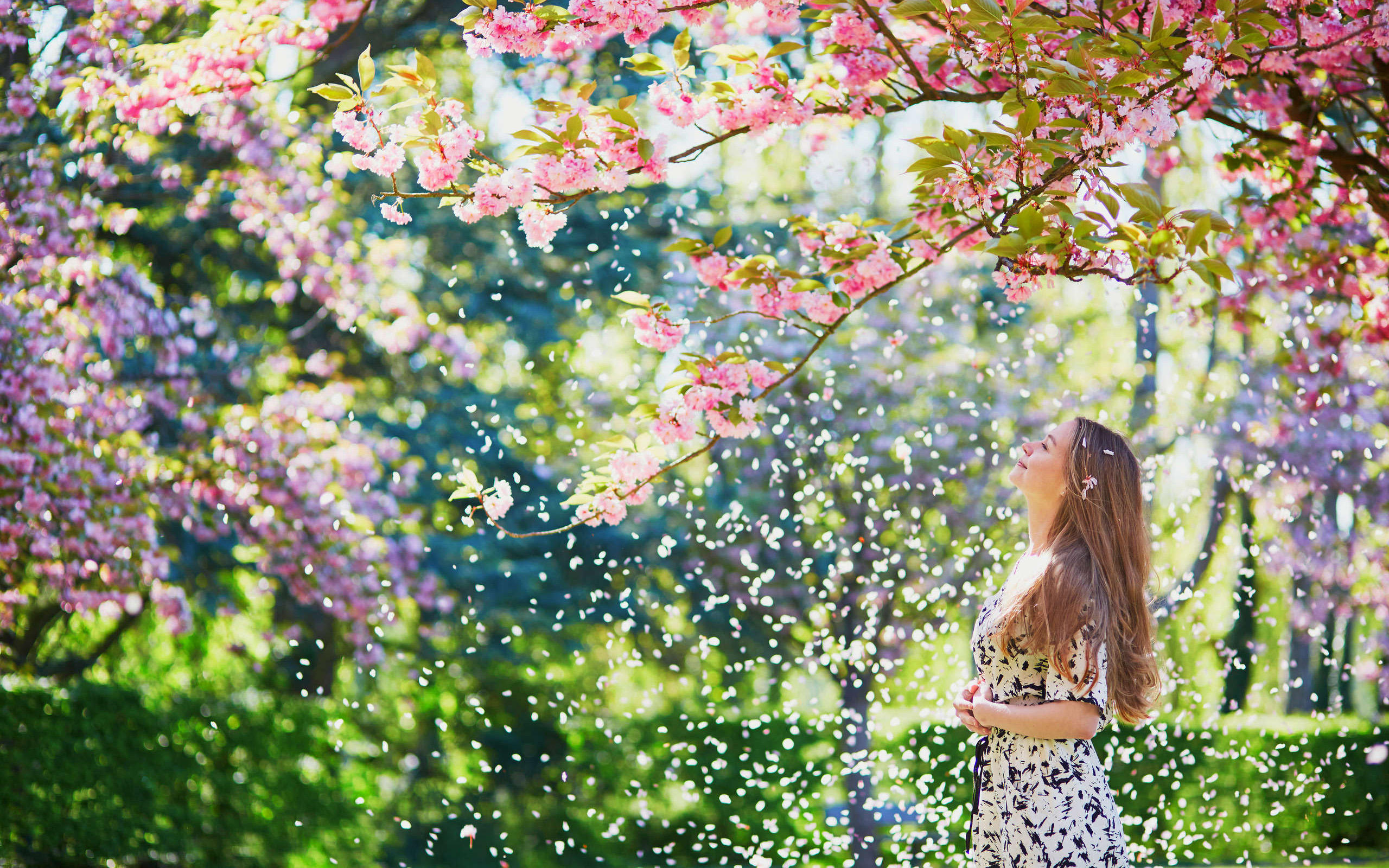 Handy-Wallpaper Sakura, Blume, Frühling, Stimmung, Profil, Blütenblatt, Frauen kostenlos herunterladen.