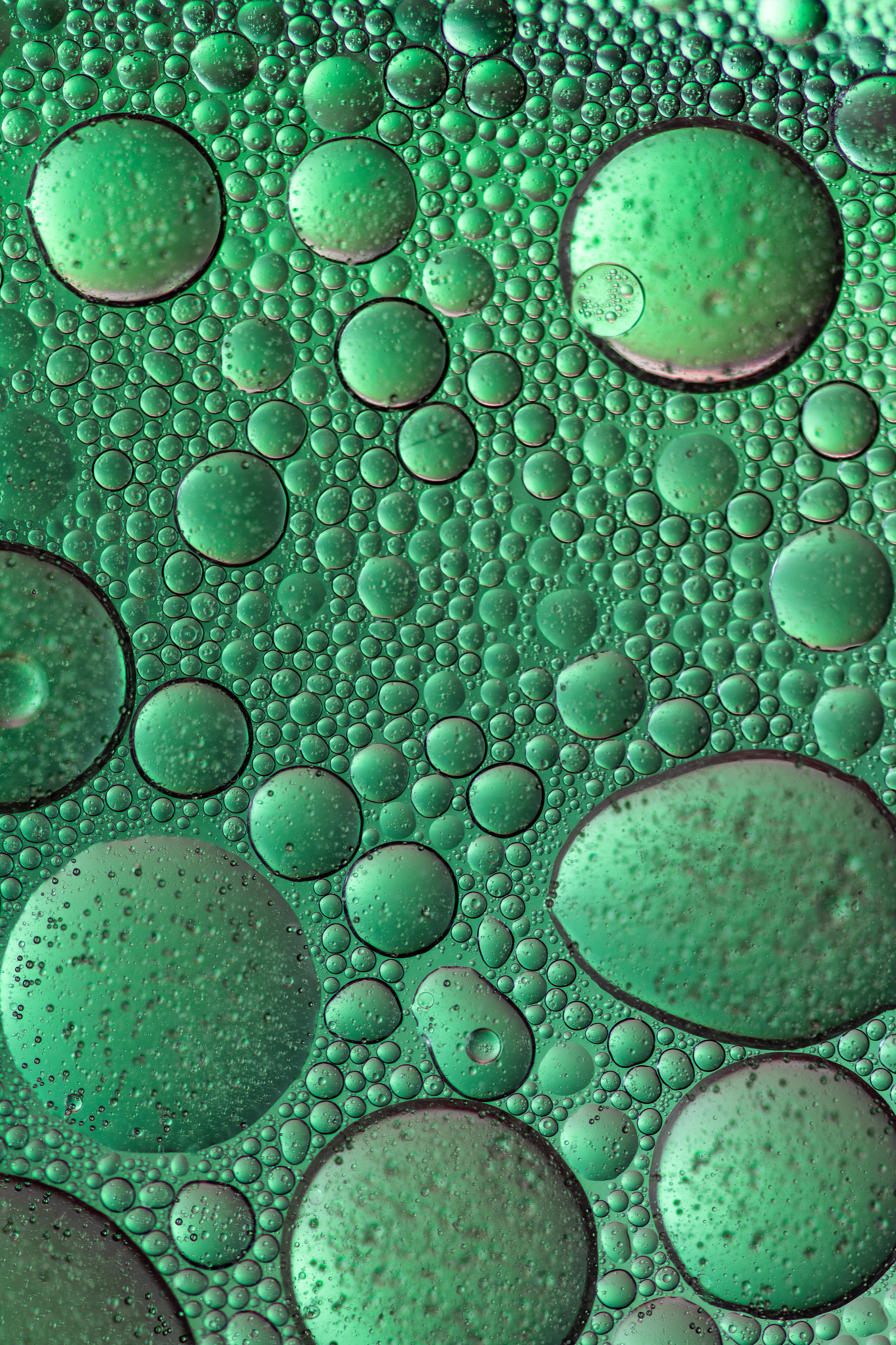 113127 скачать обои пузырь, формы, абстракция, капли, круги, зеленый - заставки и картинки бесплатно