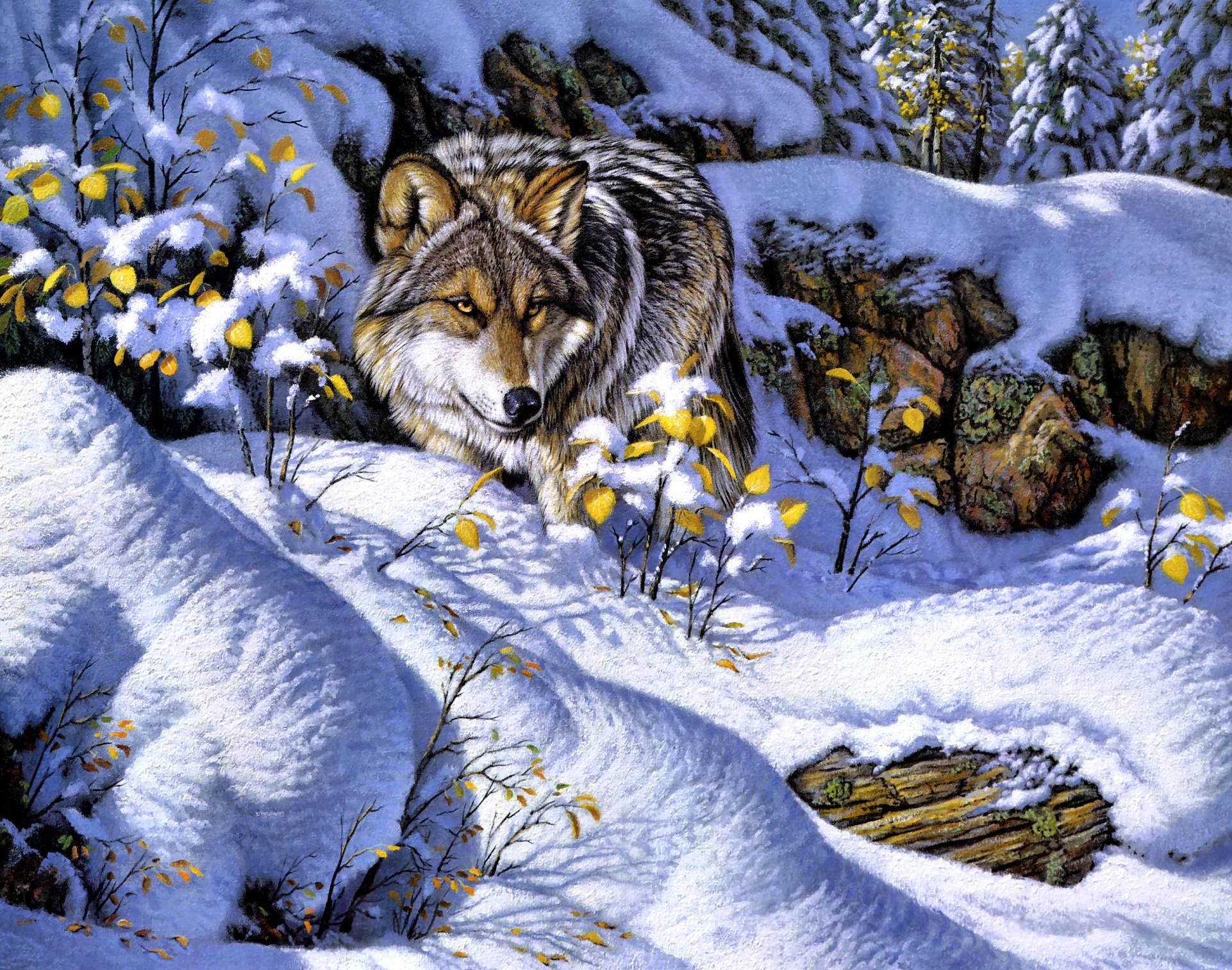 Descarga gratuita de fondo de pantalla para móvil de Wolves, Lobo, Animales.