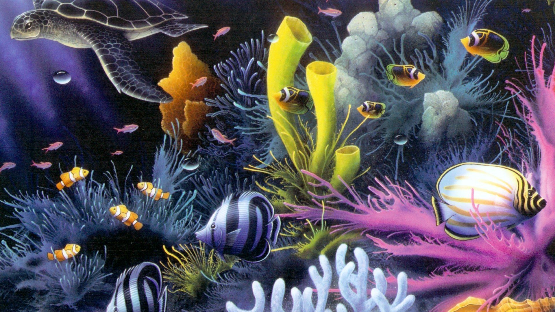 Скачать обои бесплатно Море, Кораллы, Рыба, Черепаха, Подводный, Художественные, Морская Жизнь картинка на рабочий стол ПК
