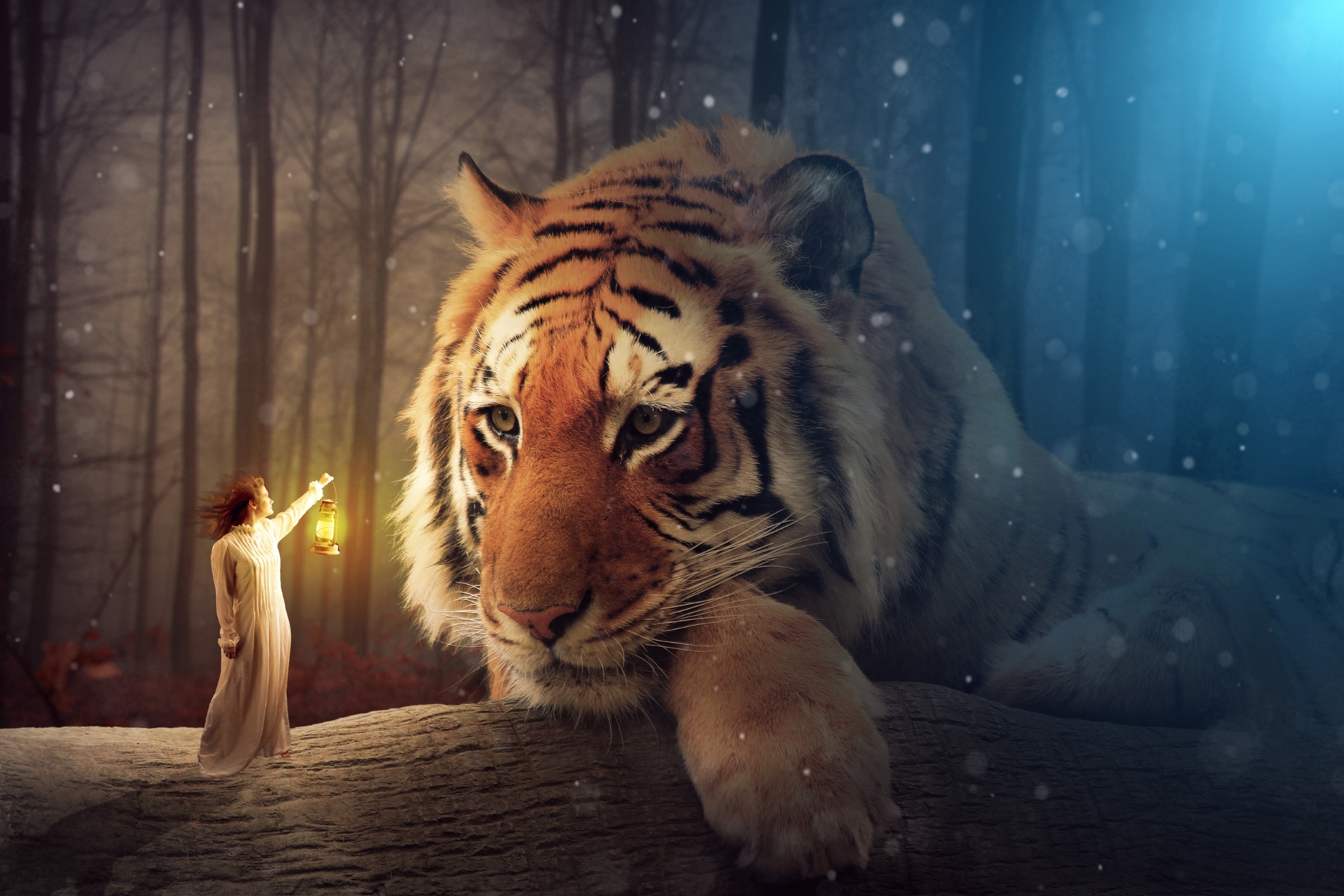 fantasy animals, lantern, fantasy, tiger, forest