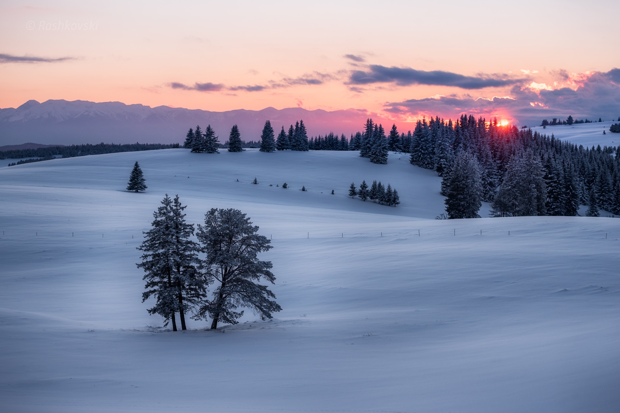 Baixe gratuitamente a imagem Paisagem, Inverno, Natureza, Neve, Árvore, Nascer Do Sol, Terra/natureza na área de trabalho do seu PC