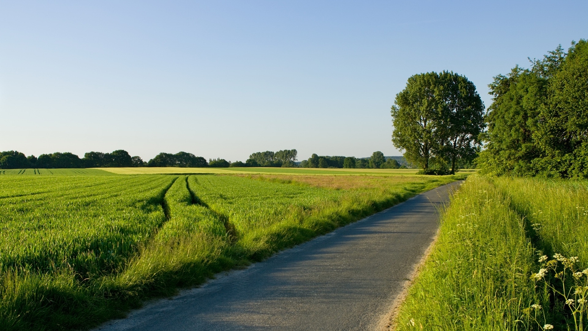 Download mobile wallpaper Nature, Grass, Road, Field, Man Made for free.