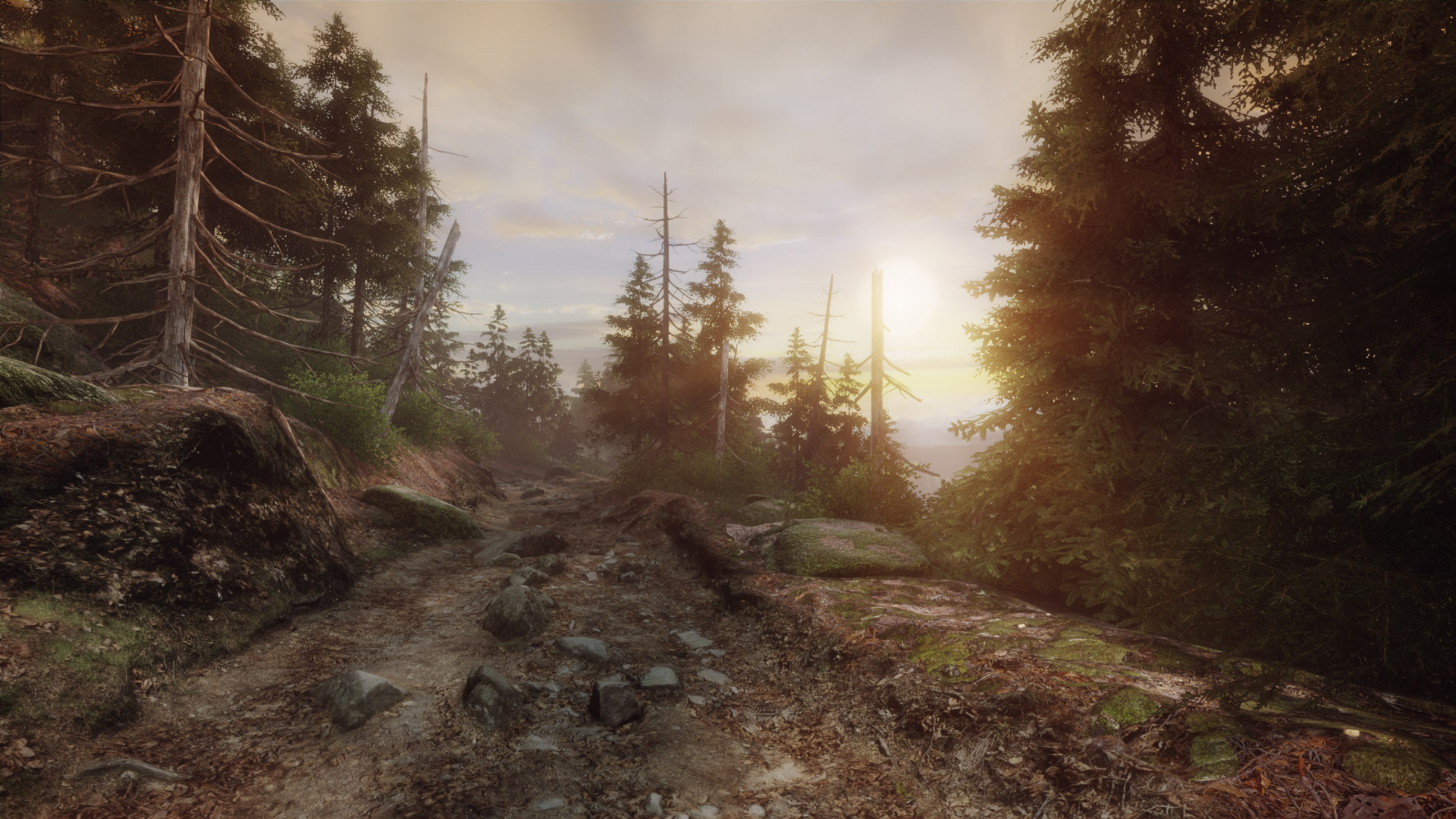 video game, the vanishing of ethan carter