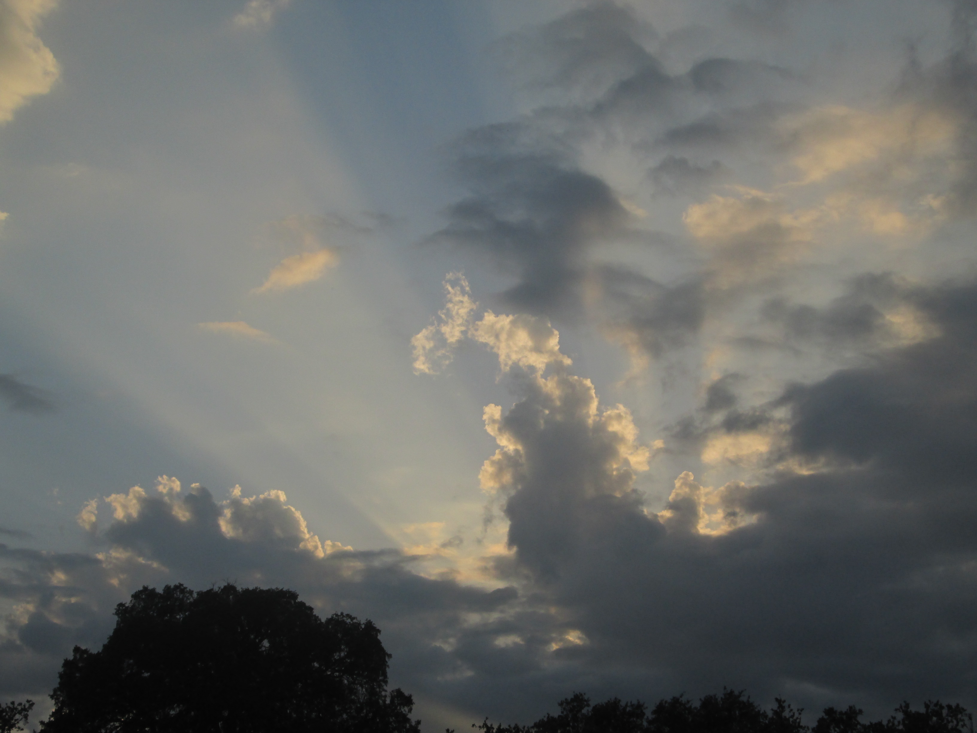 Descarga gratuita de fondo de pantalla para móvil de Rayo De Sol, Tierra/naturaleza.