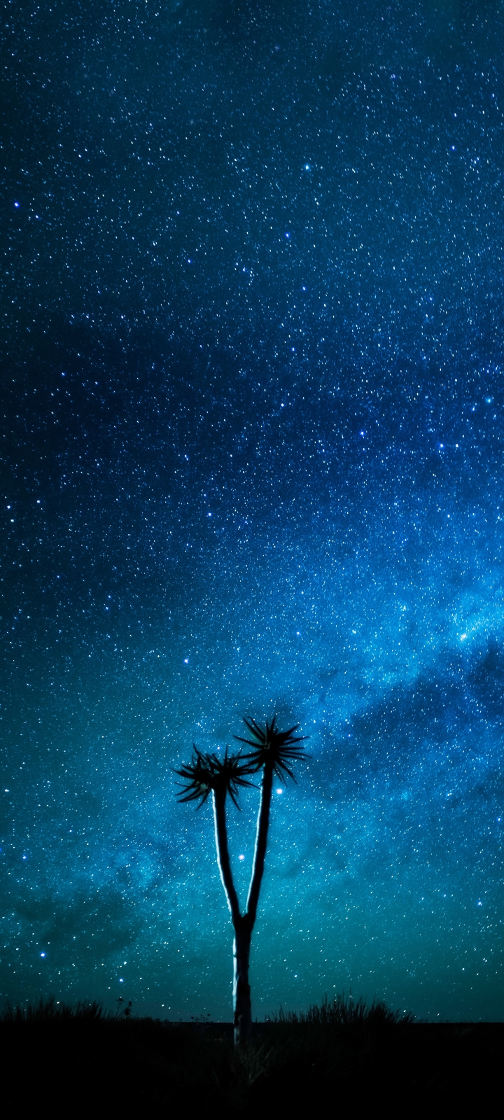 Download mobile wallpaper Nature, Stars, Starry Sky, Milky Way, Sci Fi, Namibia for free.