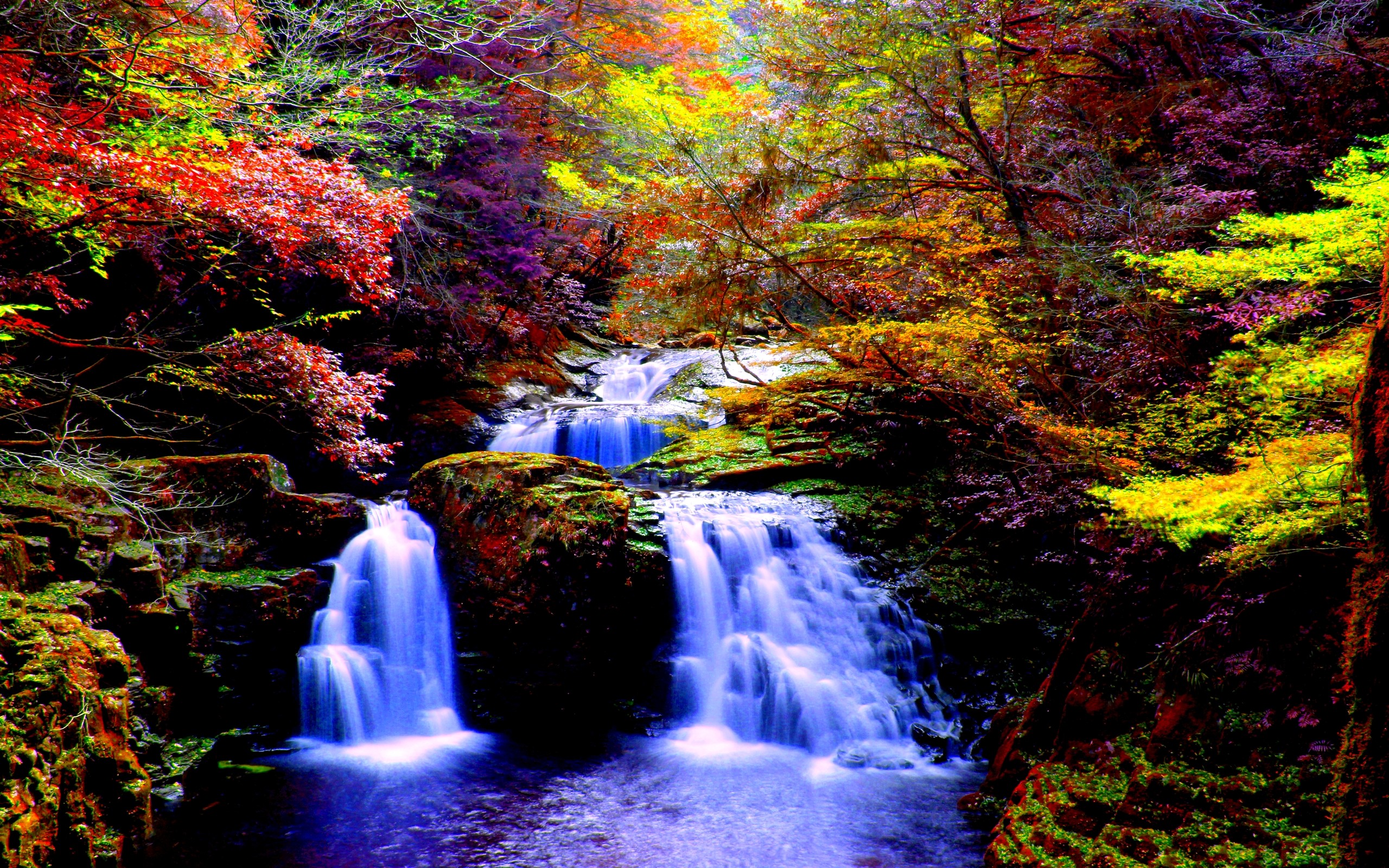 Free download wallpaper Waterfalls, Waterfall, Forest, Tree, Fall, Earth on your PC desktop