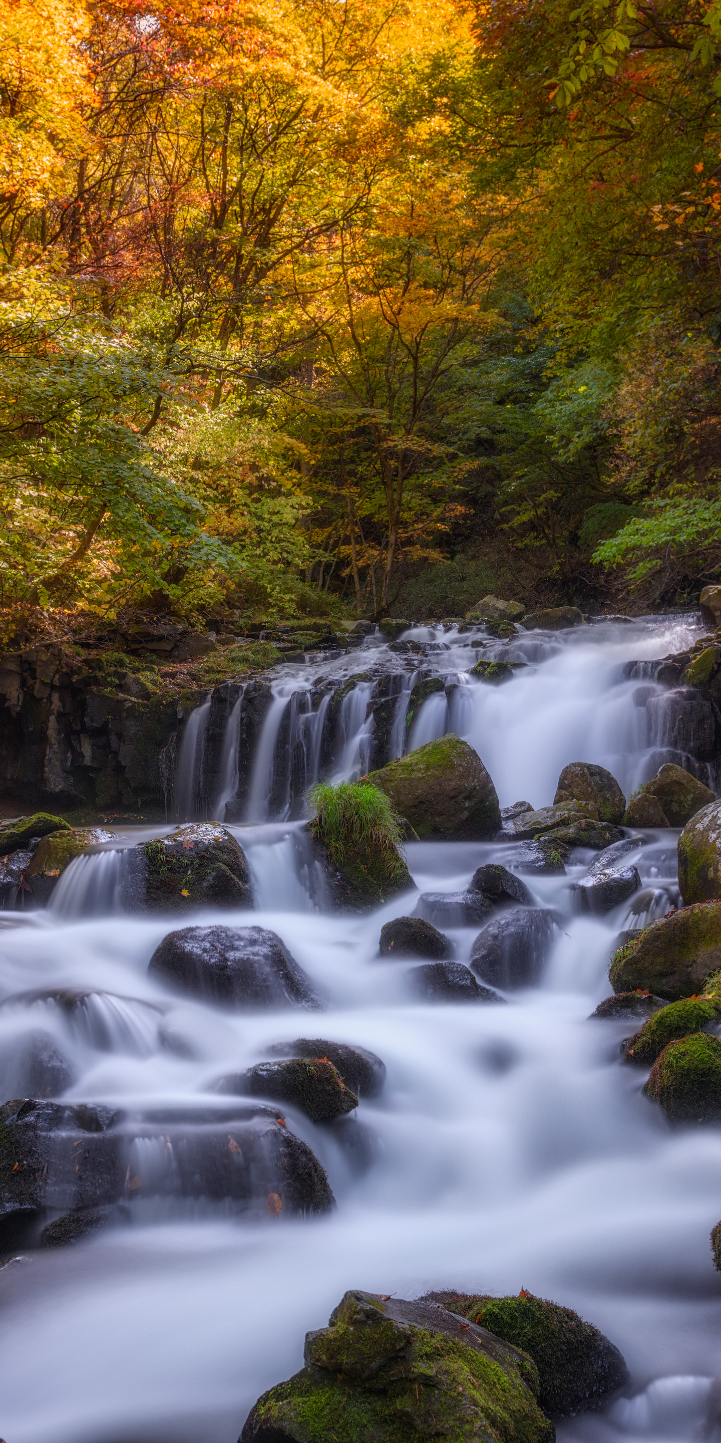 Laden Sie das Landschaft, Wasserfälle, Wasserfall, Japan, Strom, Erde/natur-Bild kostenlos auf Ihren PC-Desktop herunter