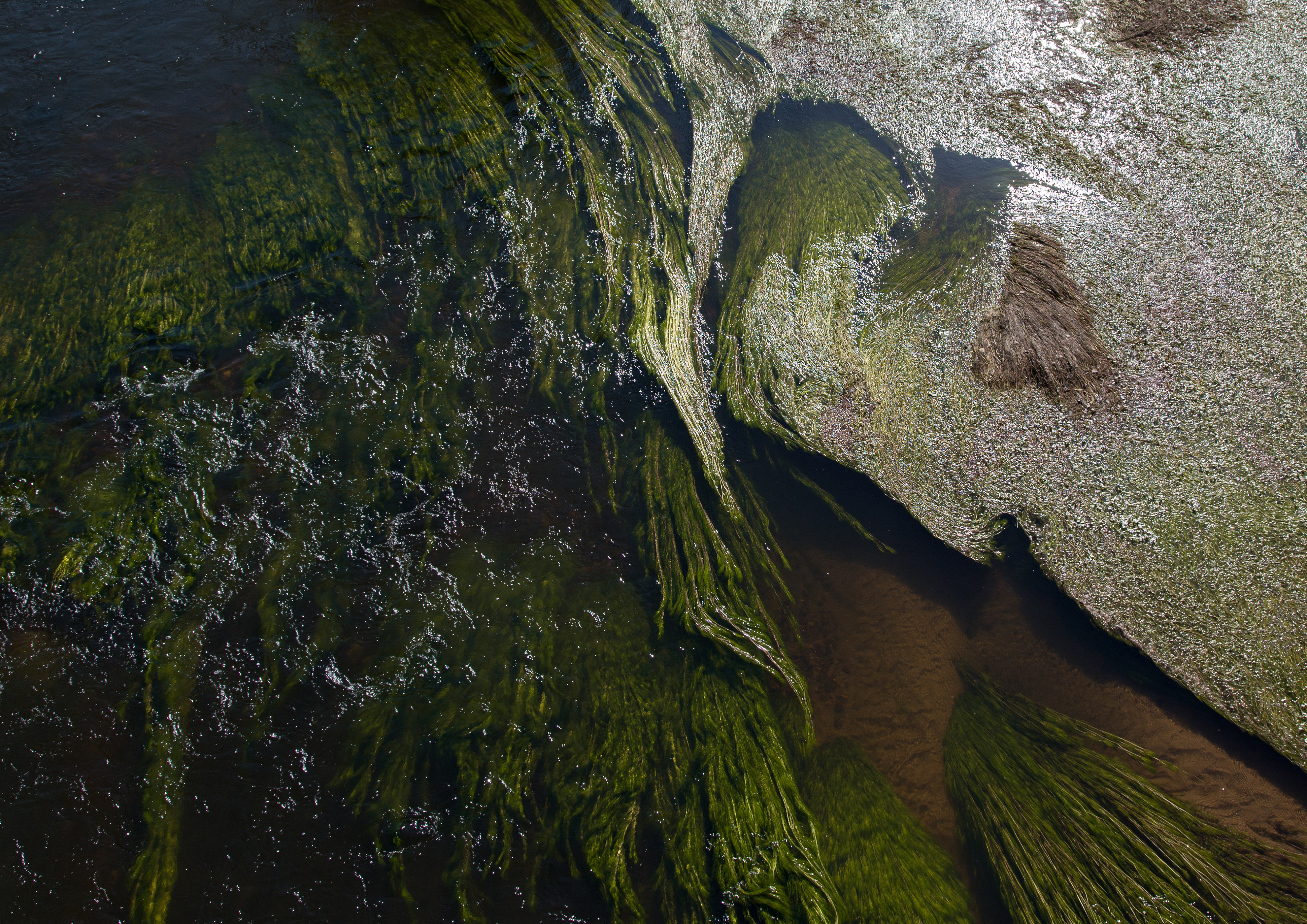 Free download wallpaper Water, Wavy, Algae, Nature, Glare, Seaweed, Waves on your PC desktop