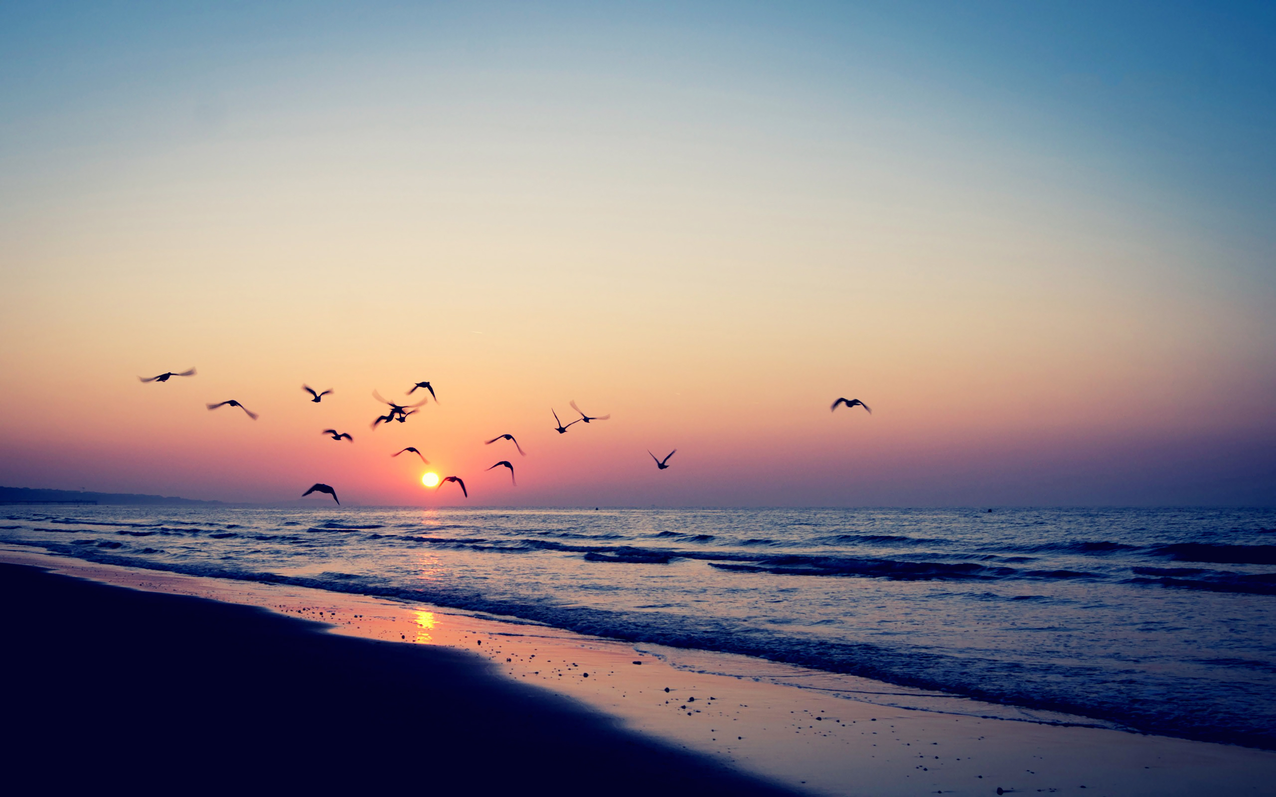 landscape, sunset, sea, seagulls, waves