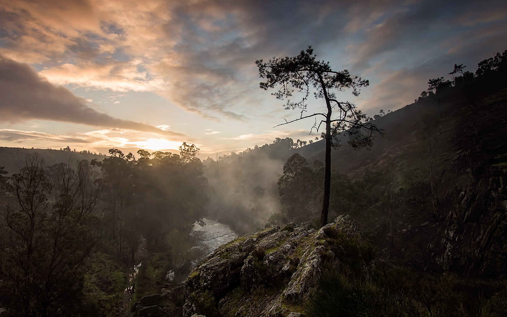 Download mobile wallpaper Landscape, Nature, Tree, Fog, Sunrise, Earth, River for free.