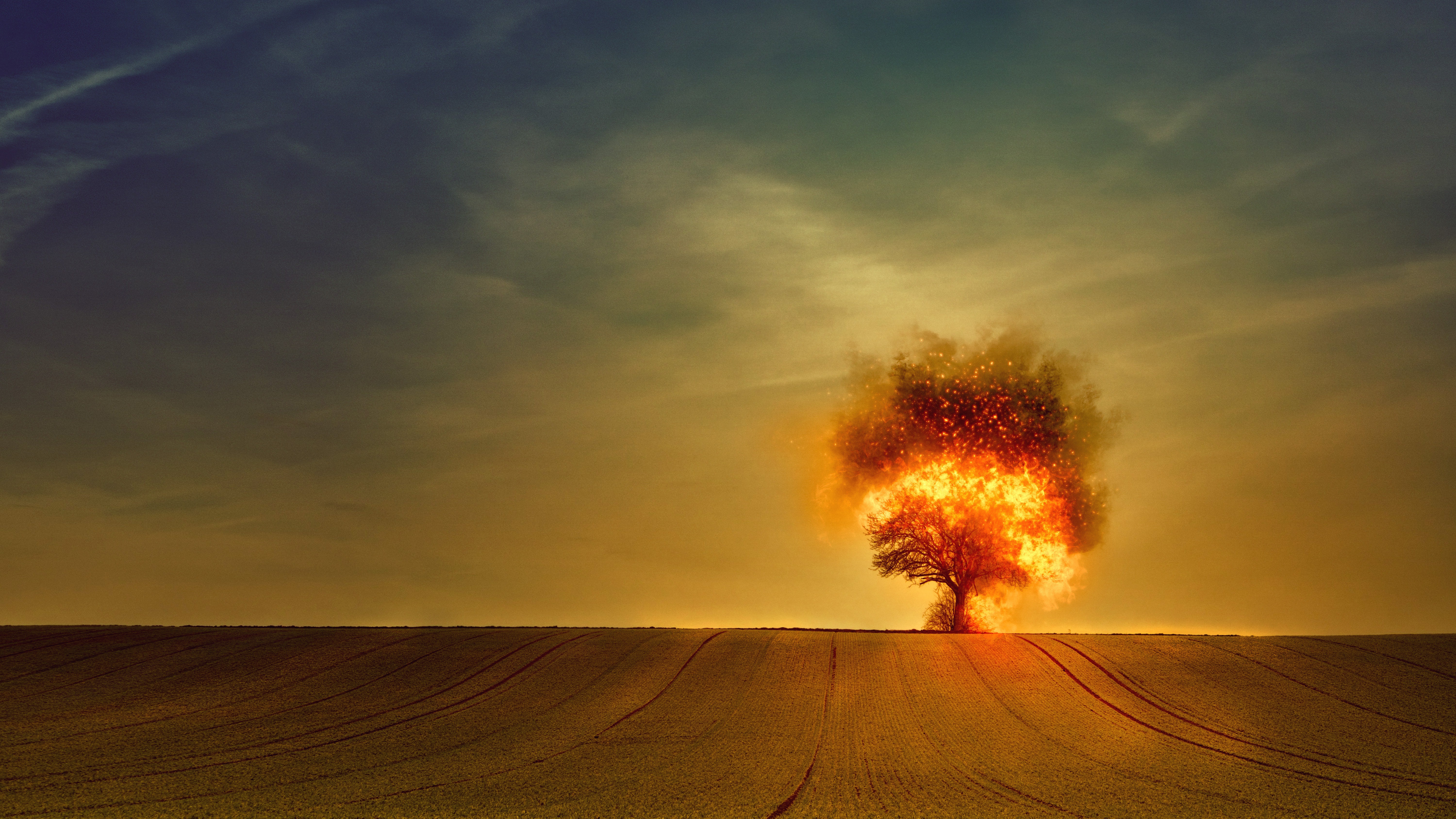 Download mobile wallpaper Nature, Fire, Tree, Field, Photography, Manipulation for free.