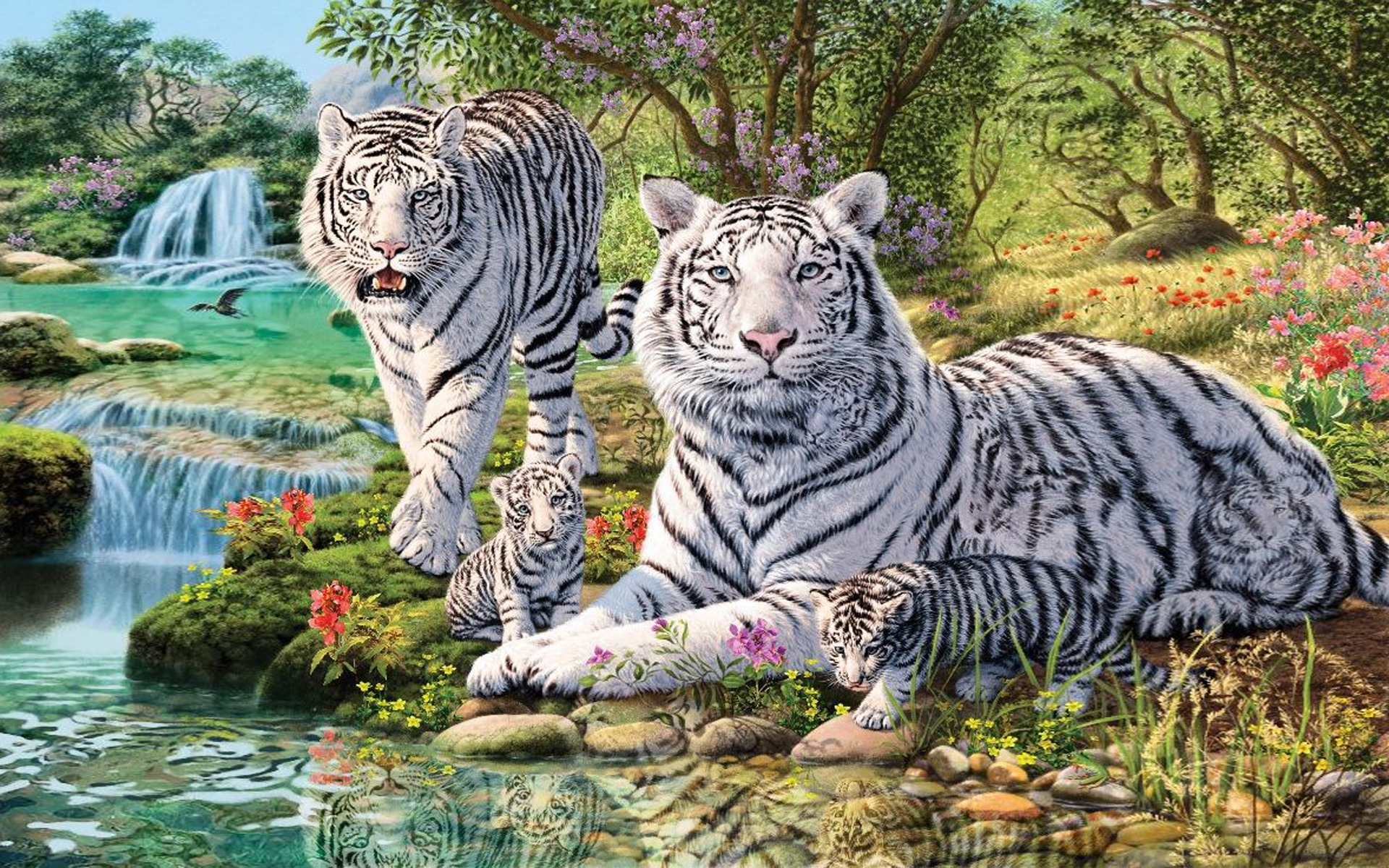 385487画像をダウンロード動物, ホワイトタイガー, 虎, 滝, 猫-壁紙とスクリーンセーバーを無料で