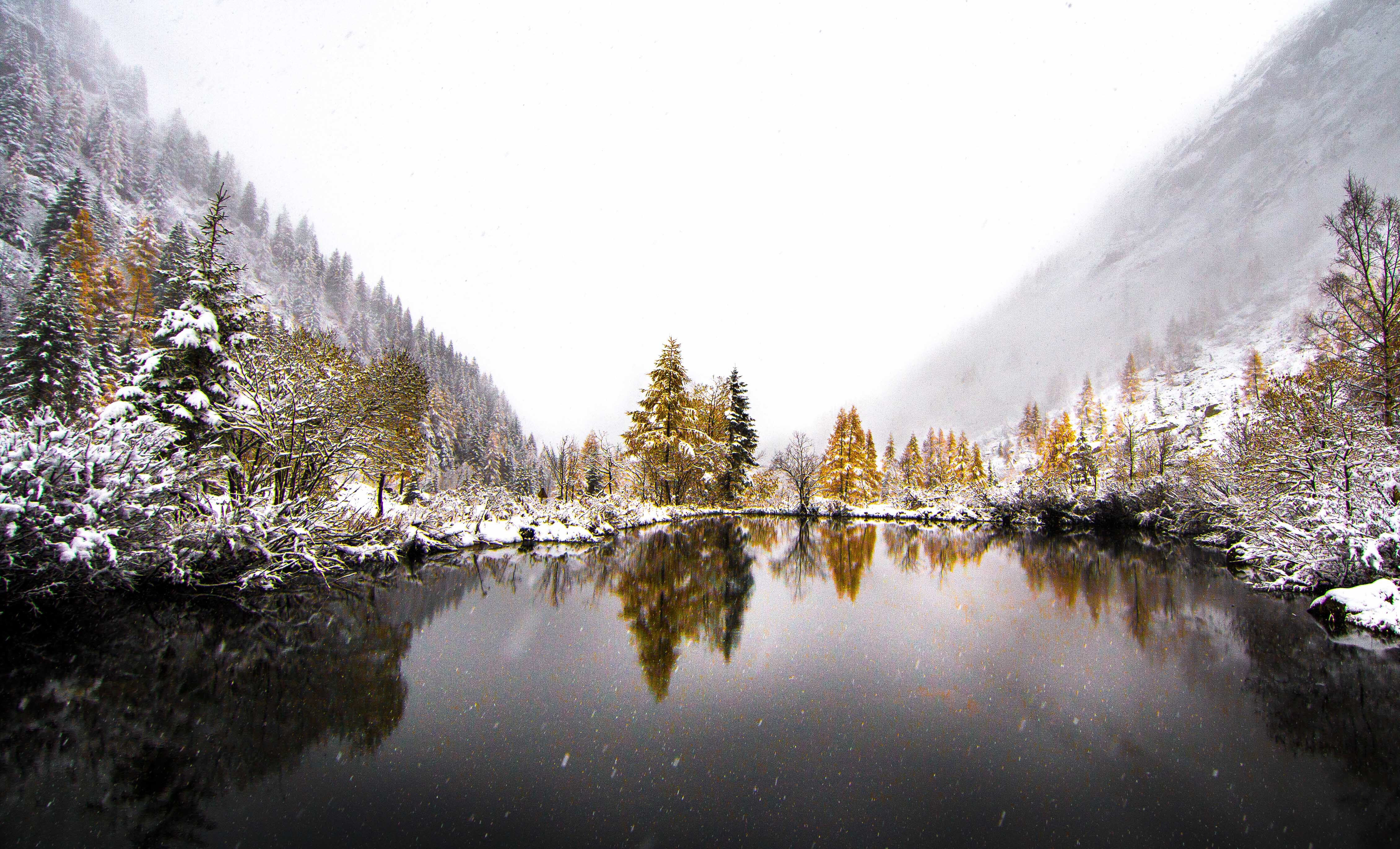 Скачать картинку Зима, Природа, Озеро, Отражение, Дерево, Туман, Снегопад, Земля/природа в телефон бесплатно.