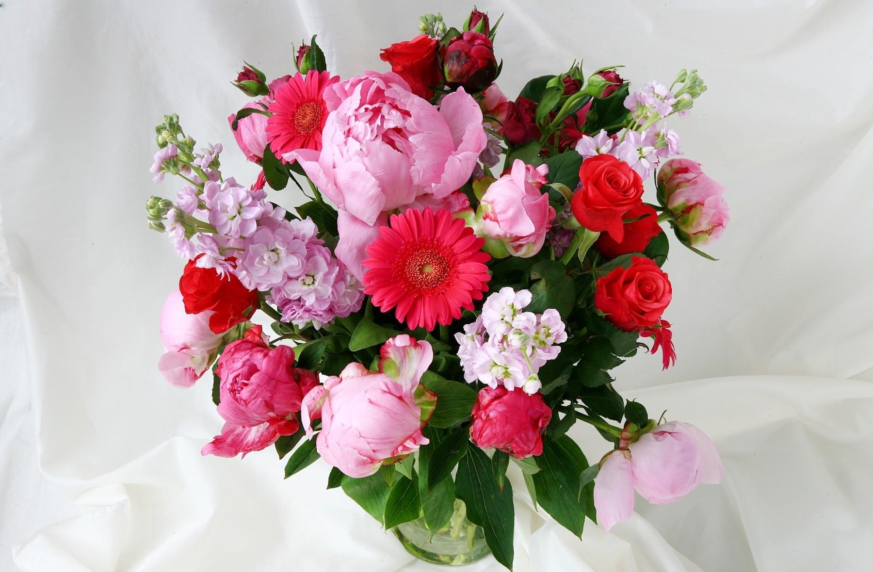 gerberas, flowers, roses, peonies, greens, bouquet, vase, levkoy, gillyflower, mattiola