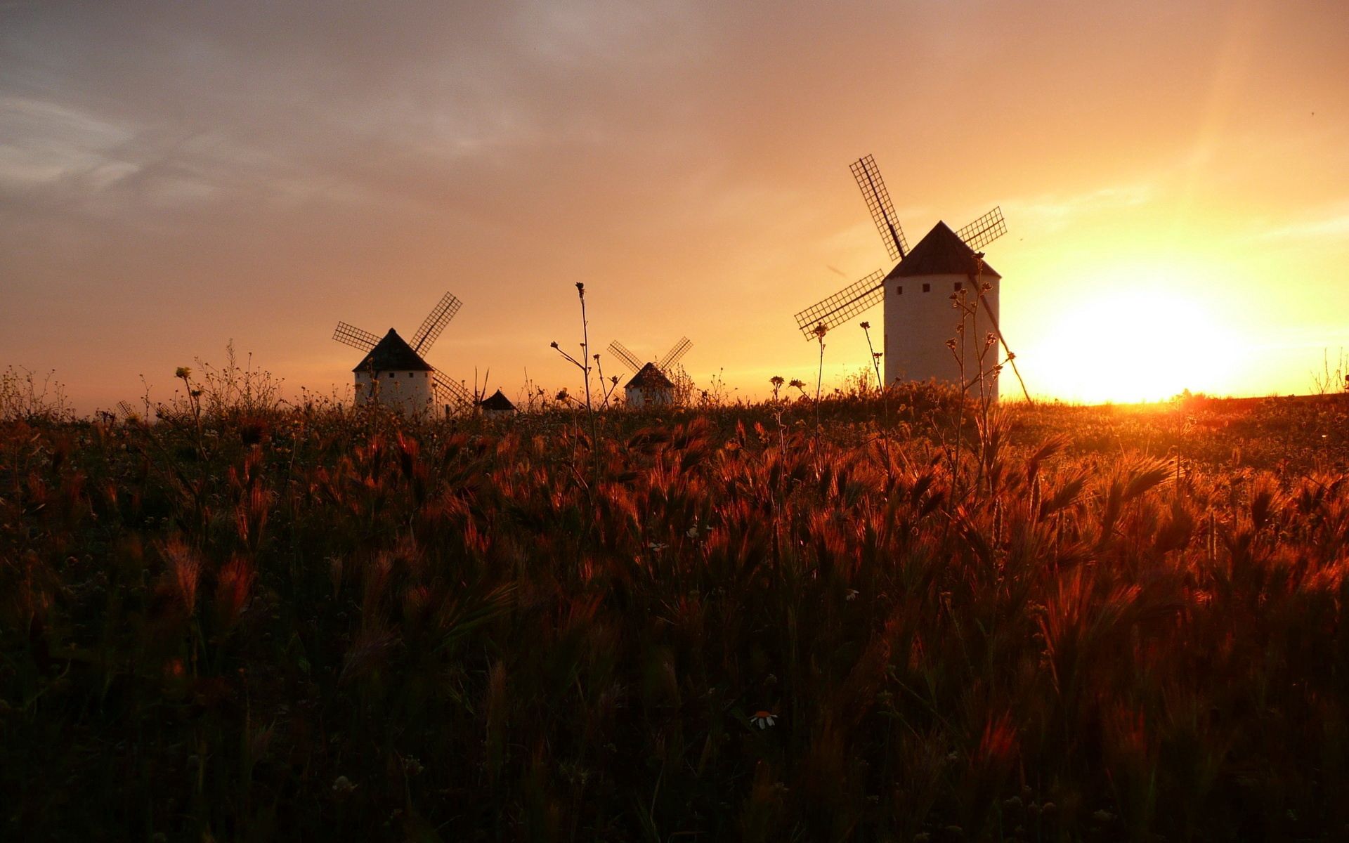 sunset, nature, sun, orange, field, silence, mill, serenity, mills Panoramic Wallpaper