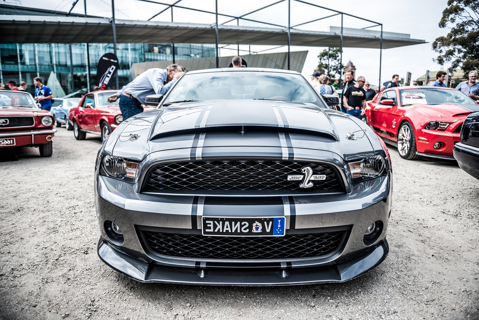 Téléchargez gratuitement l'image Ford Mustang, Véhicules sur le bureau de votre PC