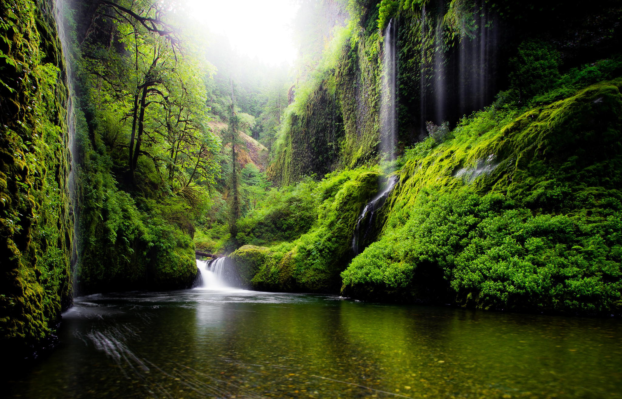 Скачать картинку Водопад, Лес, Зеленый, Мох, Земля/природа в телефон бесплатно.