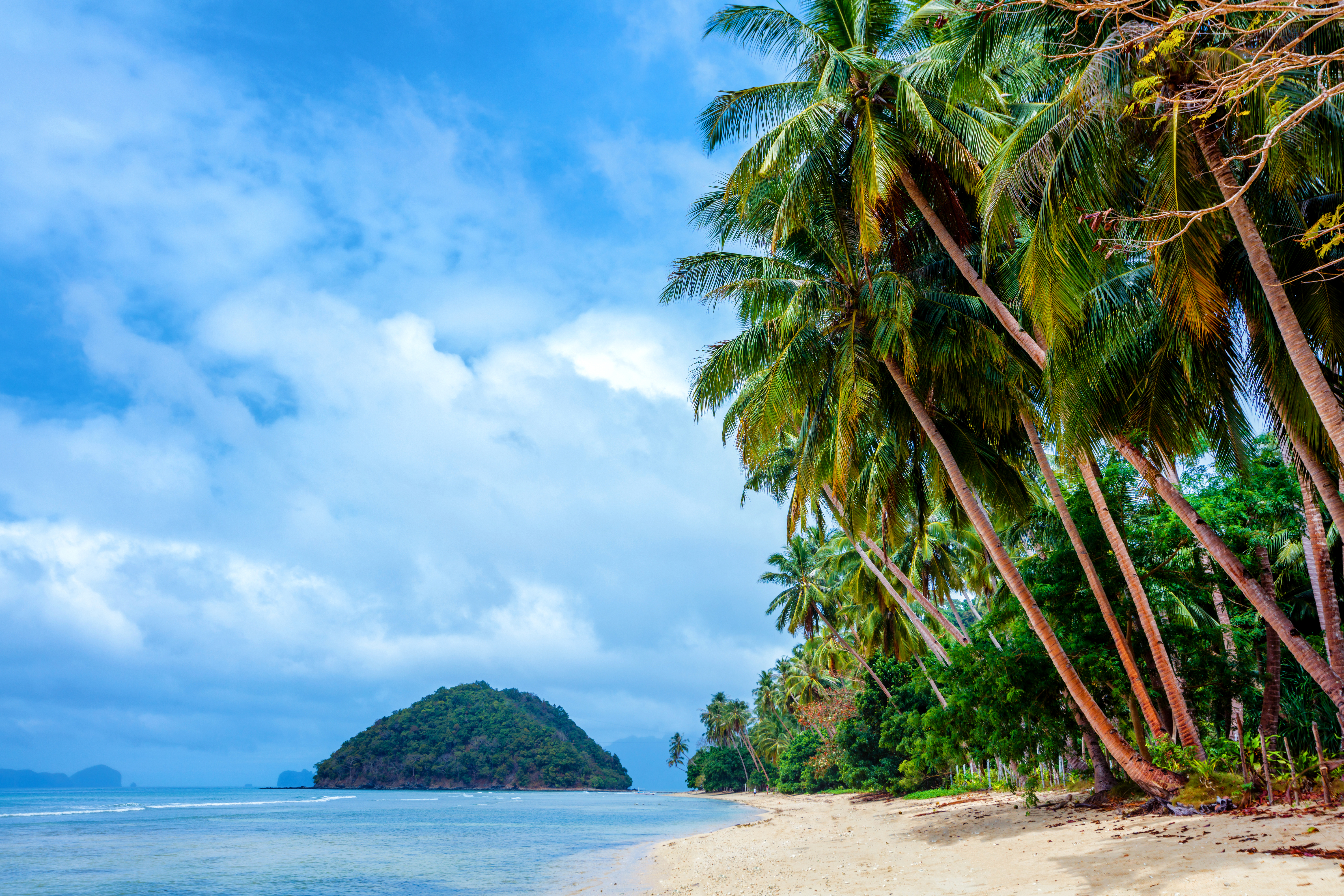 1528746 descargar imagen tierra/naturaleza, playa, océano, palmera, las filipinas, mar, tropico: fondos de pantalla y protectores de pantalla gratis