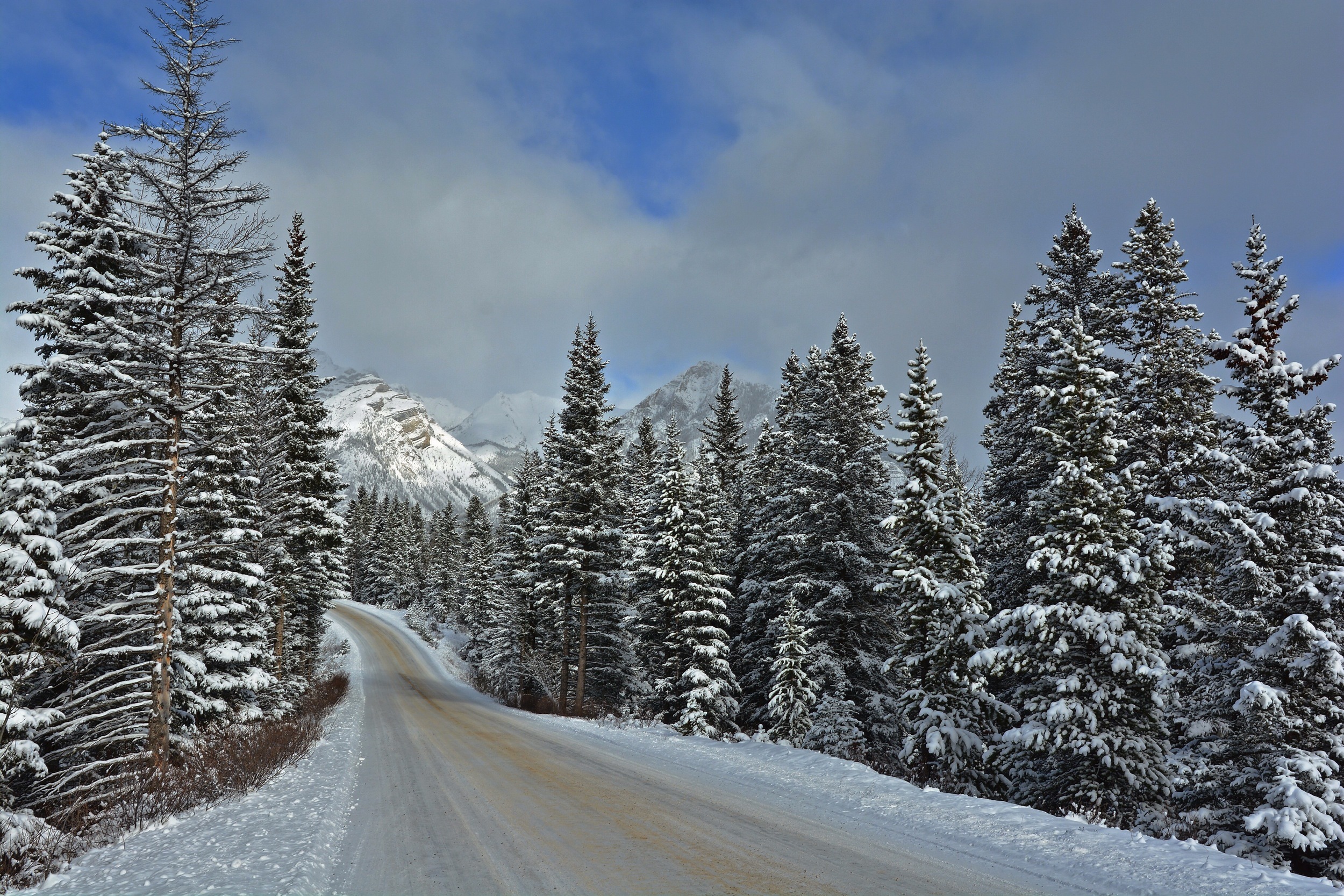 road, man made, banff national park, canada, landscape, mountain, pine, snow, tree, winter Desktop Wallpaper